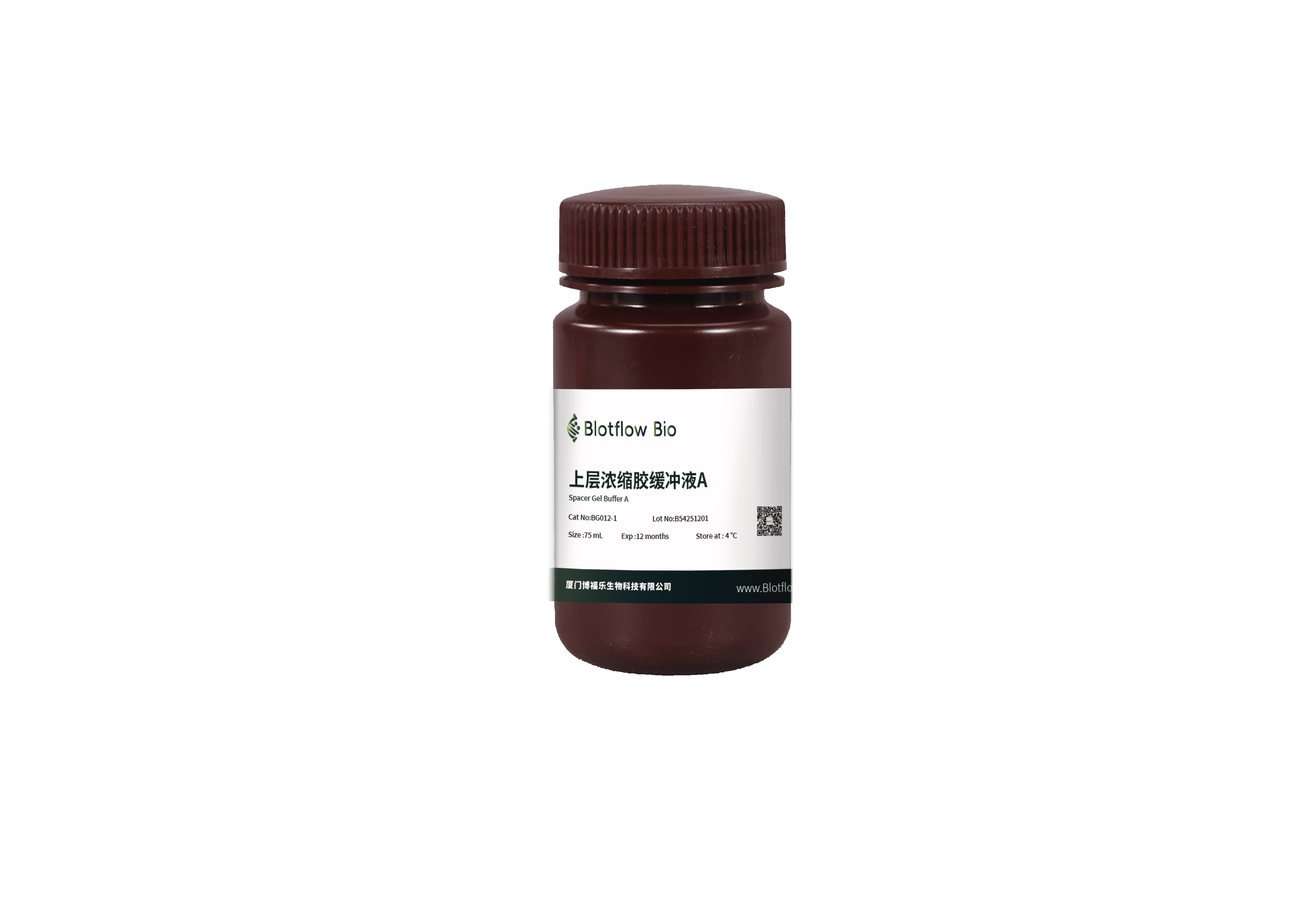PAGE凝胶快速制备试剂盒（下层8%）