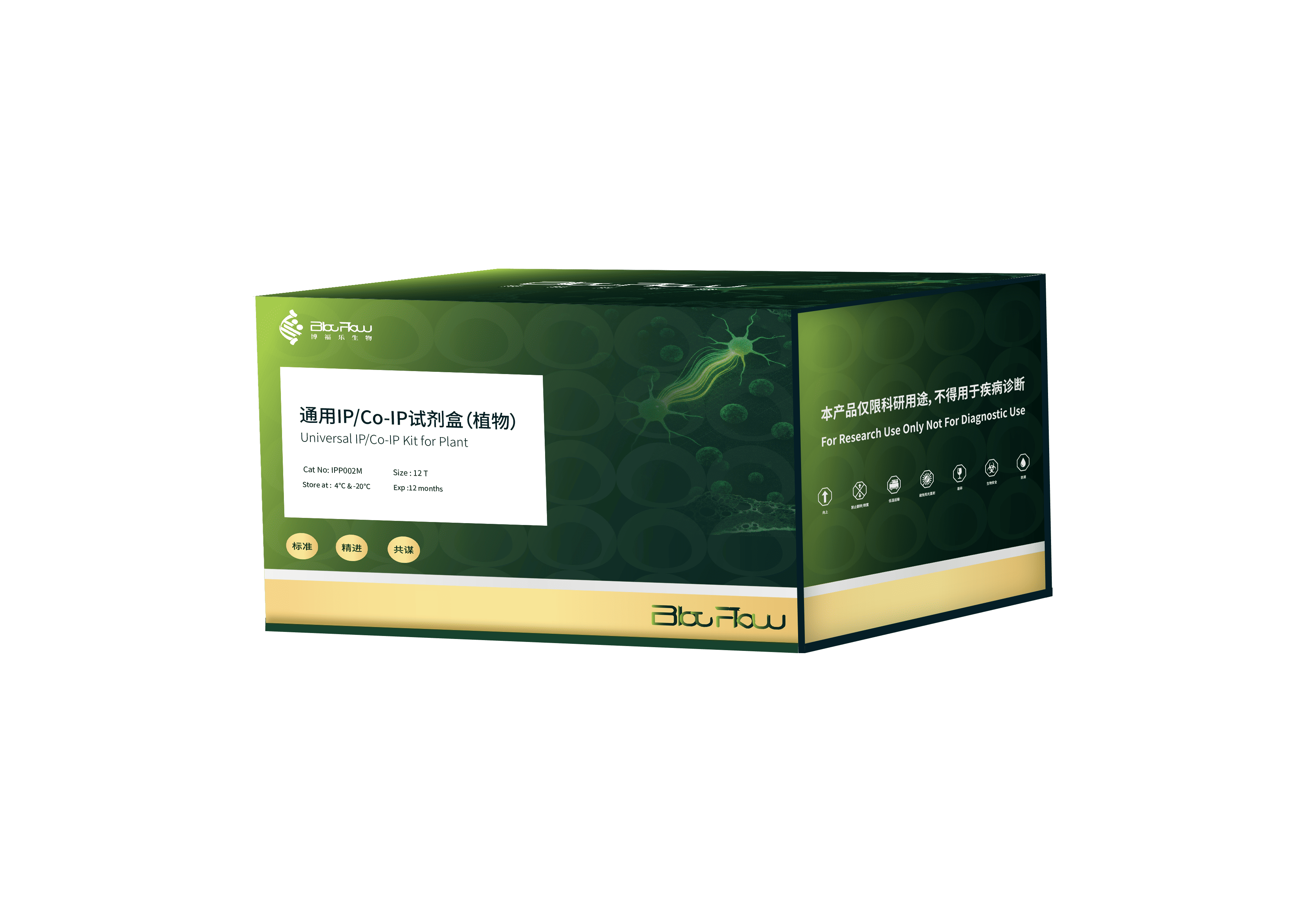 通用IP/Co-IP试剂盒（植物）