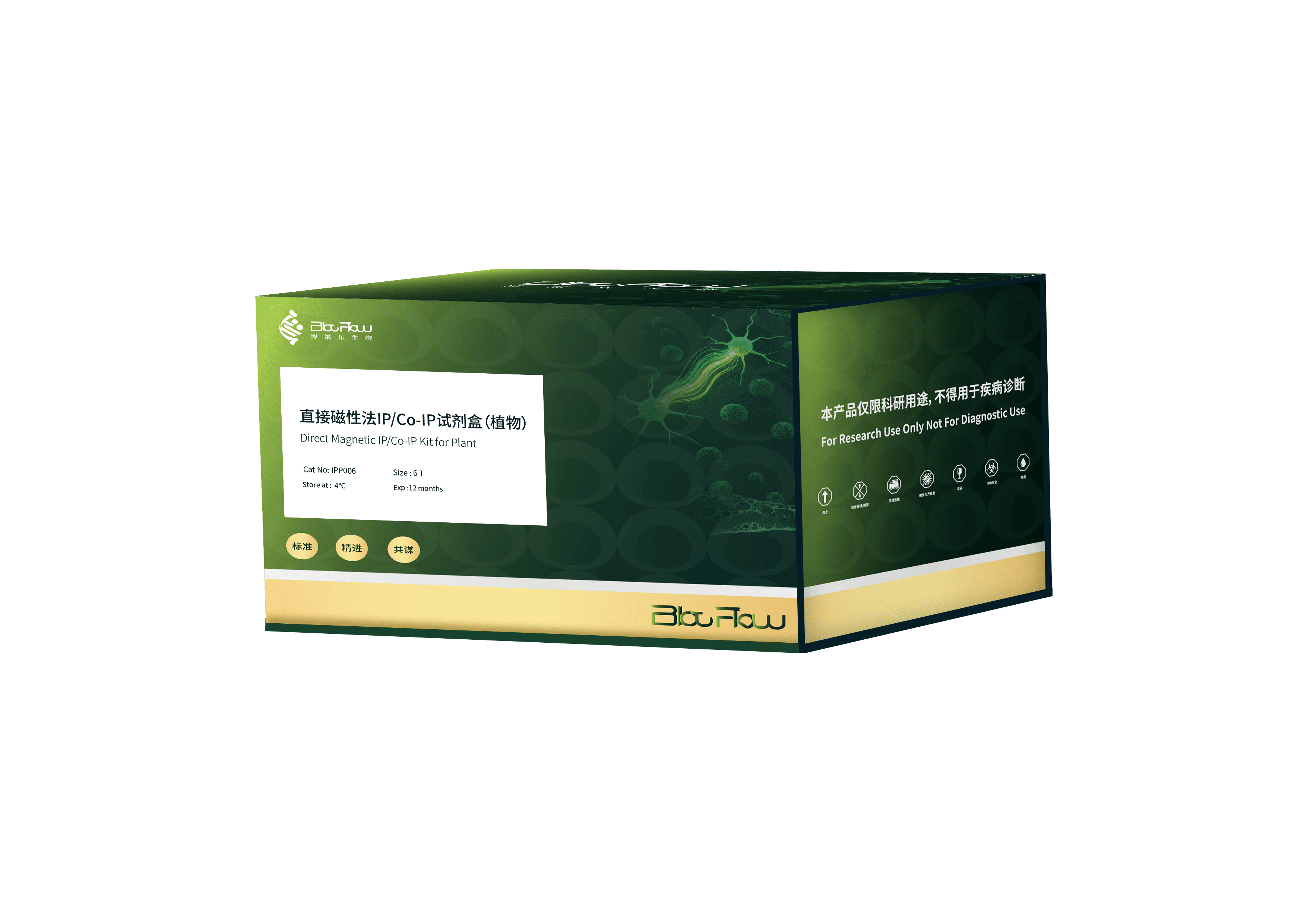 直接磁性法IP/Co-IP试剂盒（植物）