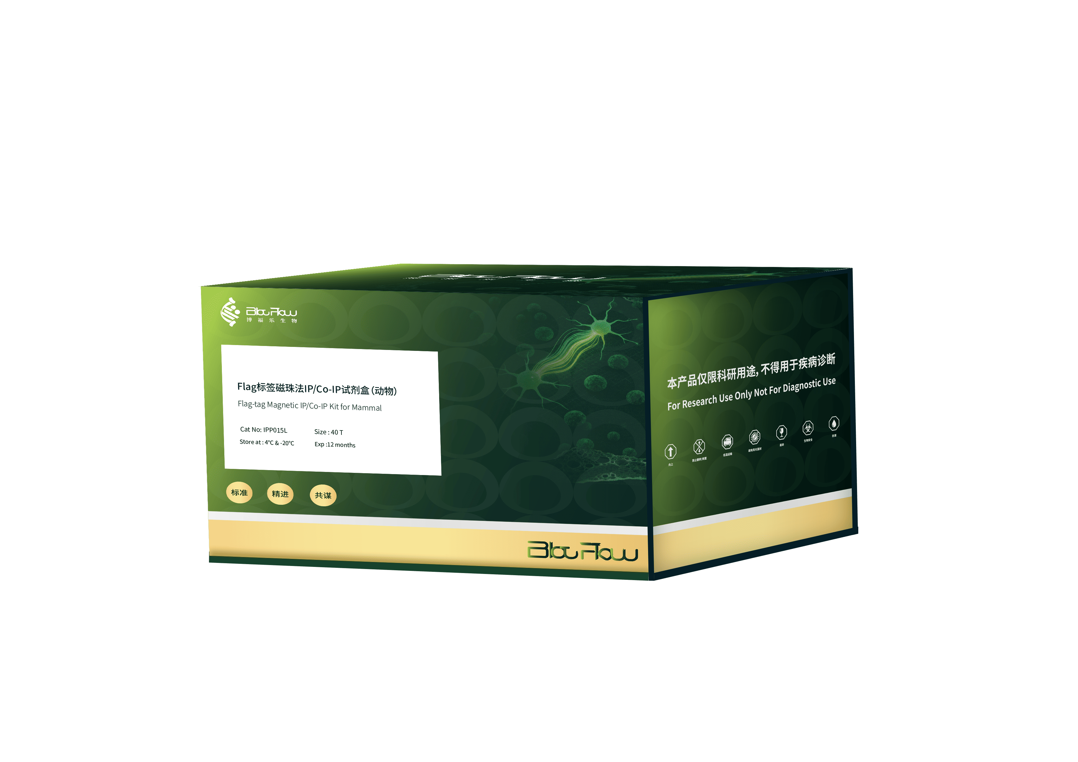 Flag标签磁珠法IP/Co-IP试剂盒（植物）