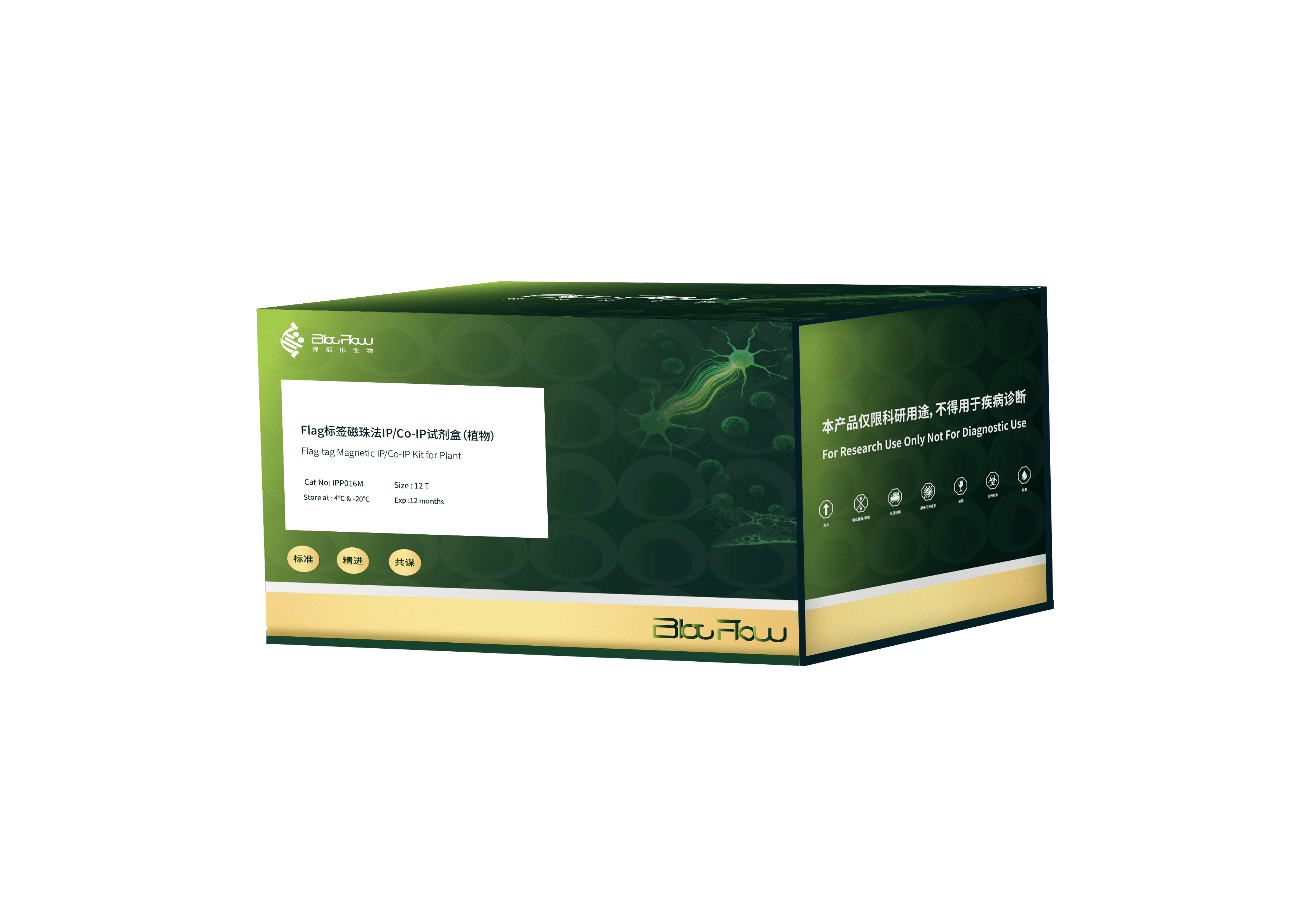 Myc标签琼脂糖微珠法IP/Co-IP试剂盒（植物）