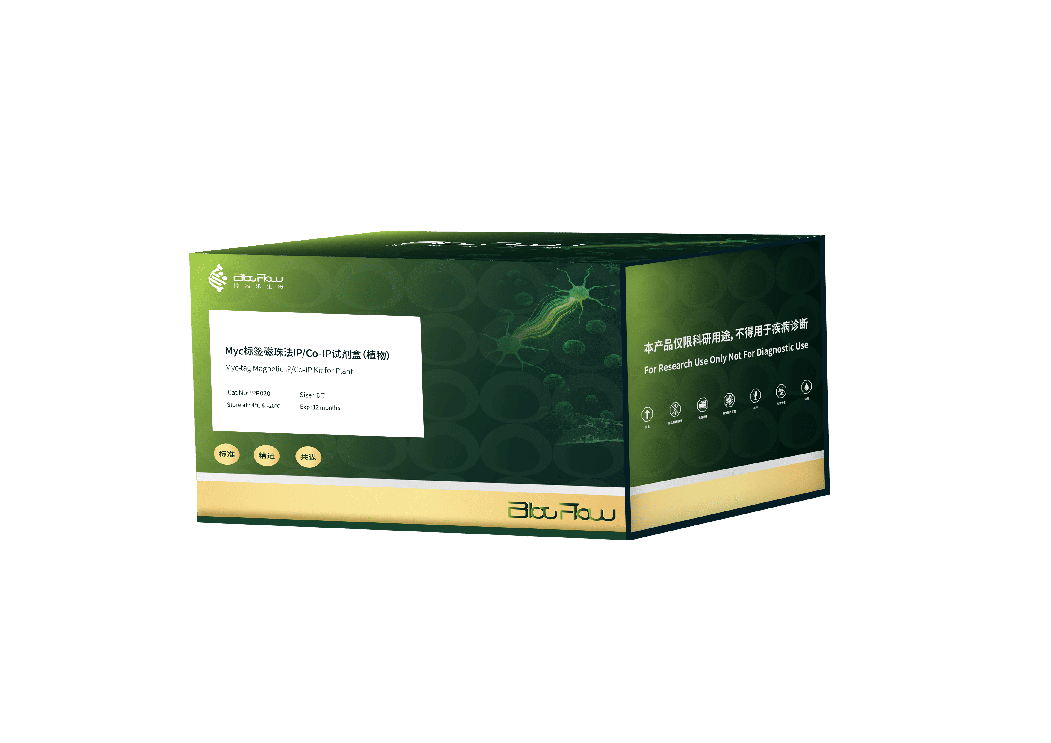 Myc标签磁珠法IP/Co-IP试剂盒（植物）