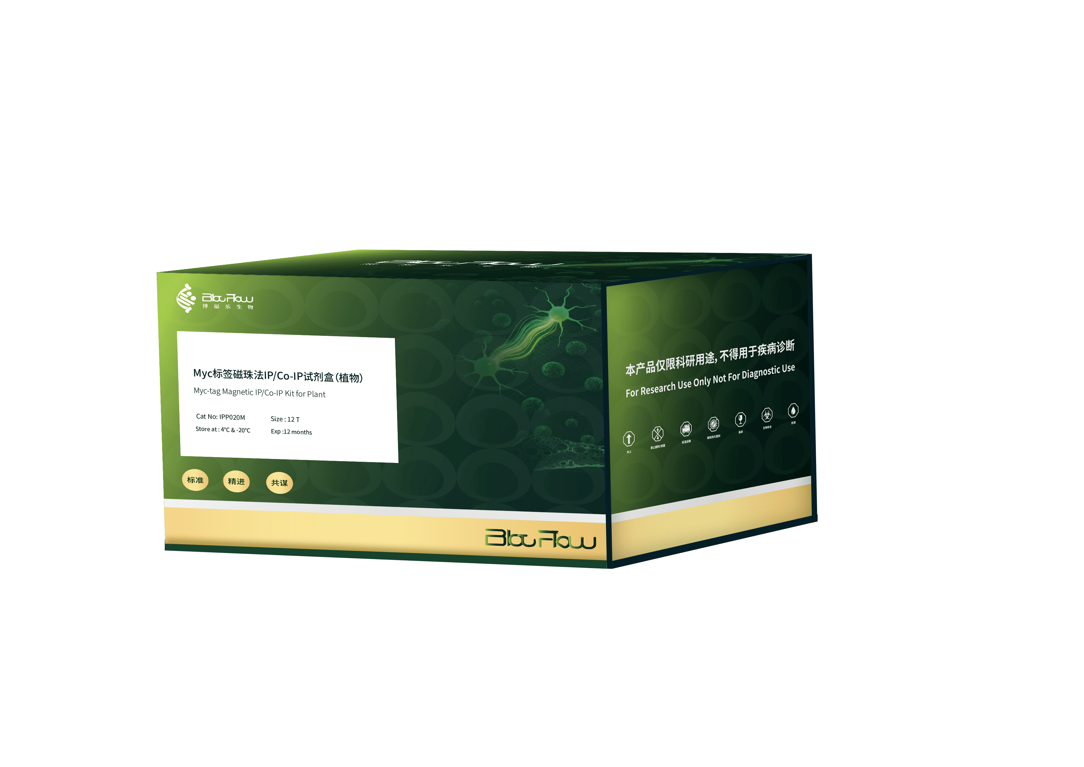 Myc标签磁珠法IP/Co-IP试剂盒（植物）