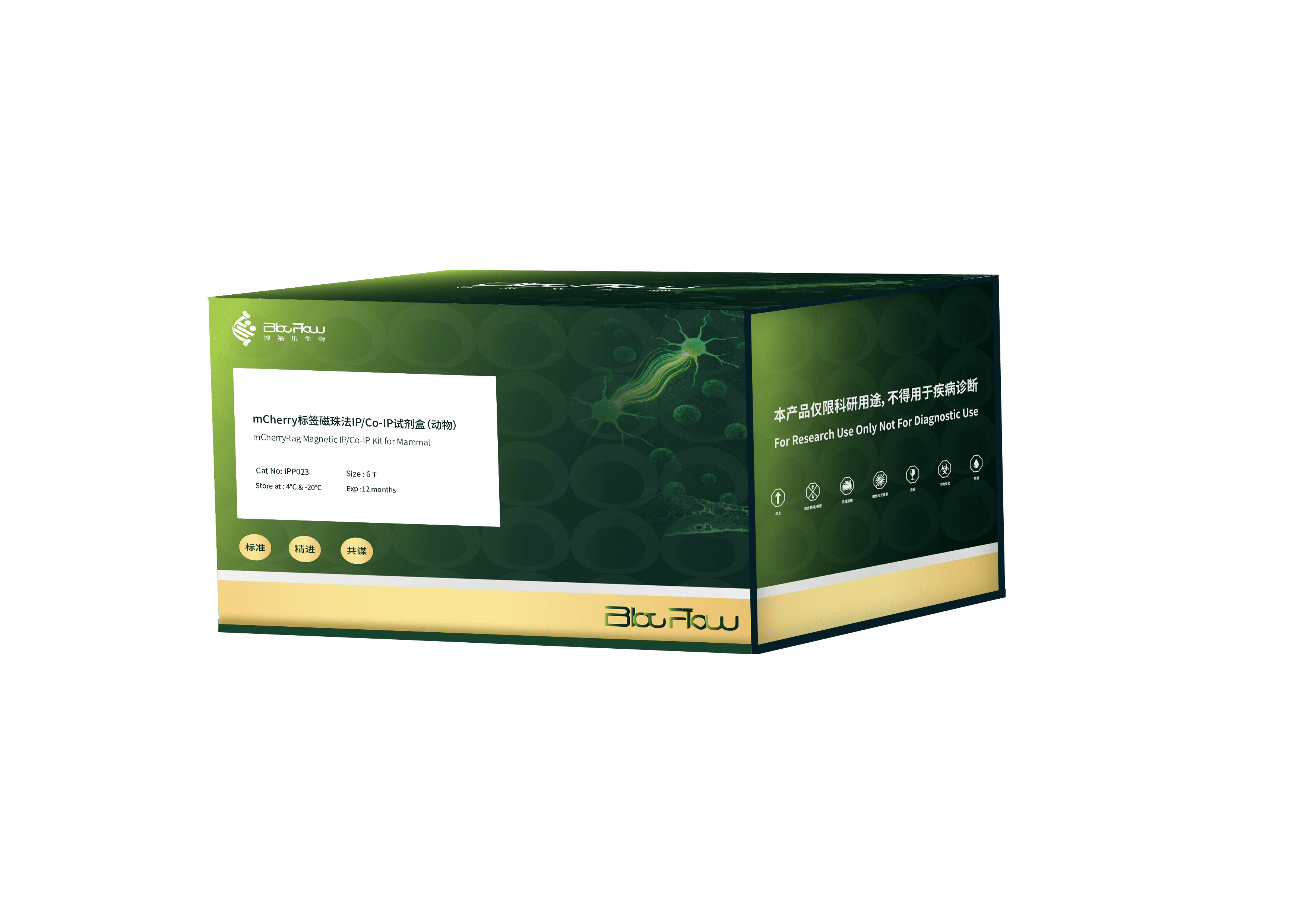 mCherry标签磁珠法IP/Co-IP试剂盒（动物）