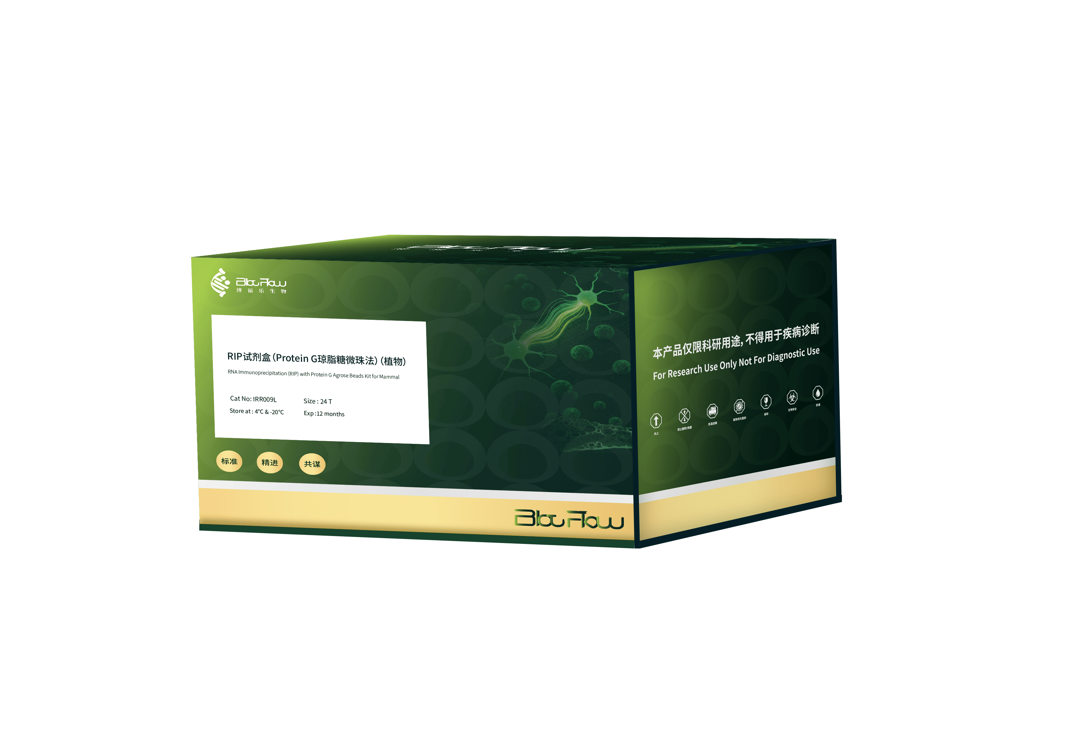 RIP试剂盒（Protein G琼脂糖微珠法）（植物）