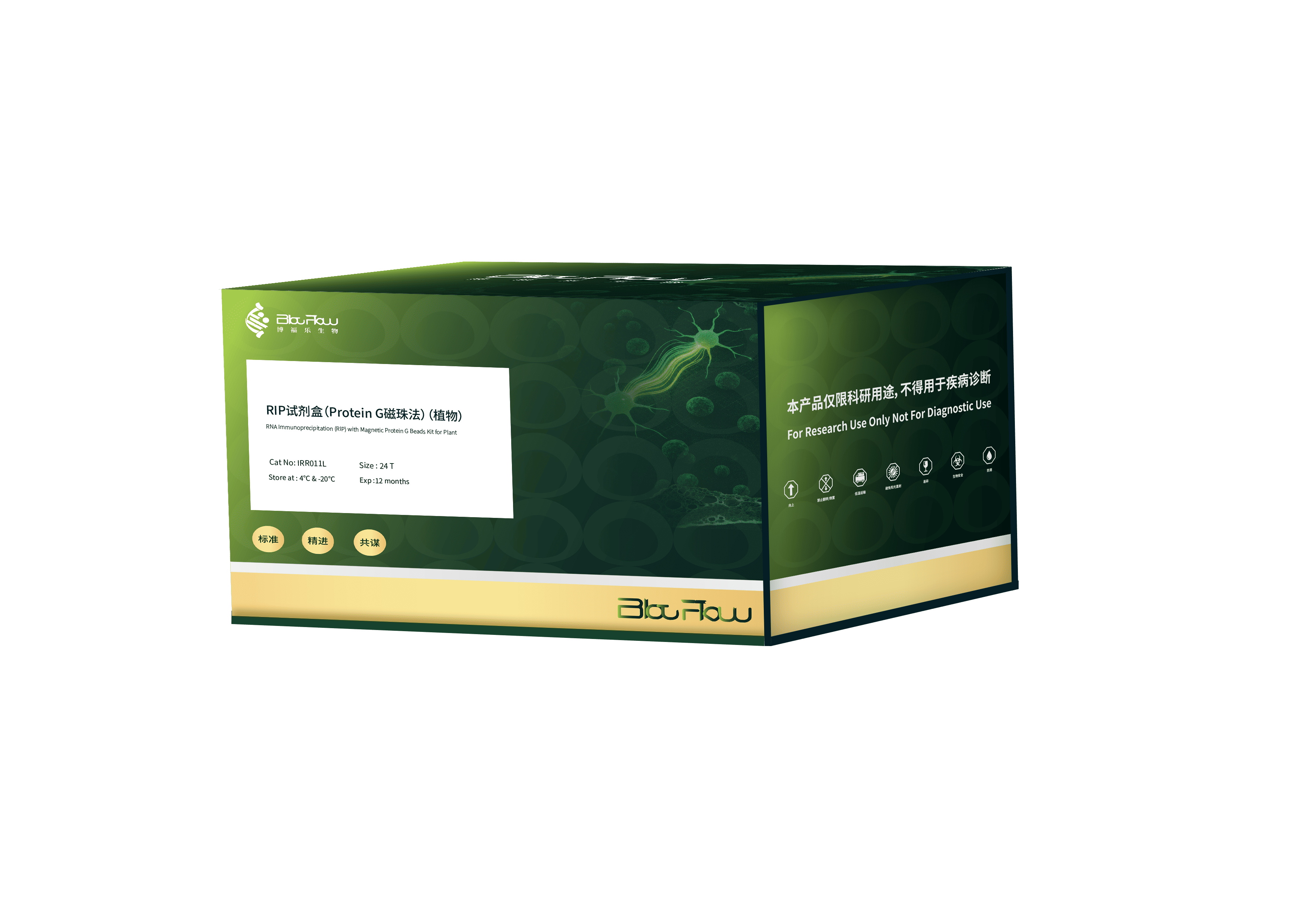 RIP试剂盒（Protein G磁珠法）（植物）