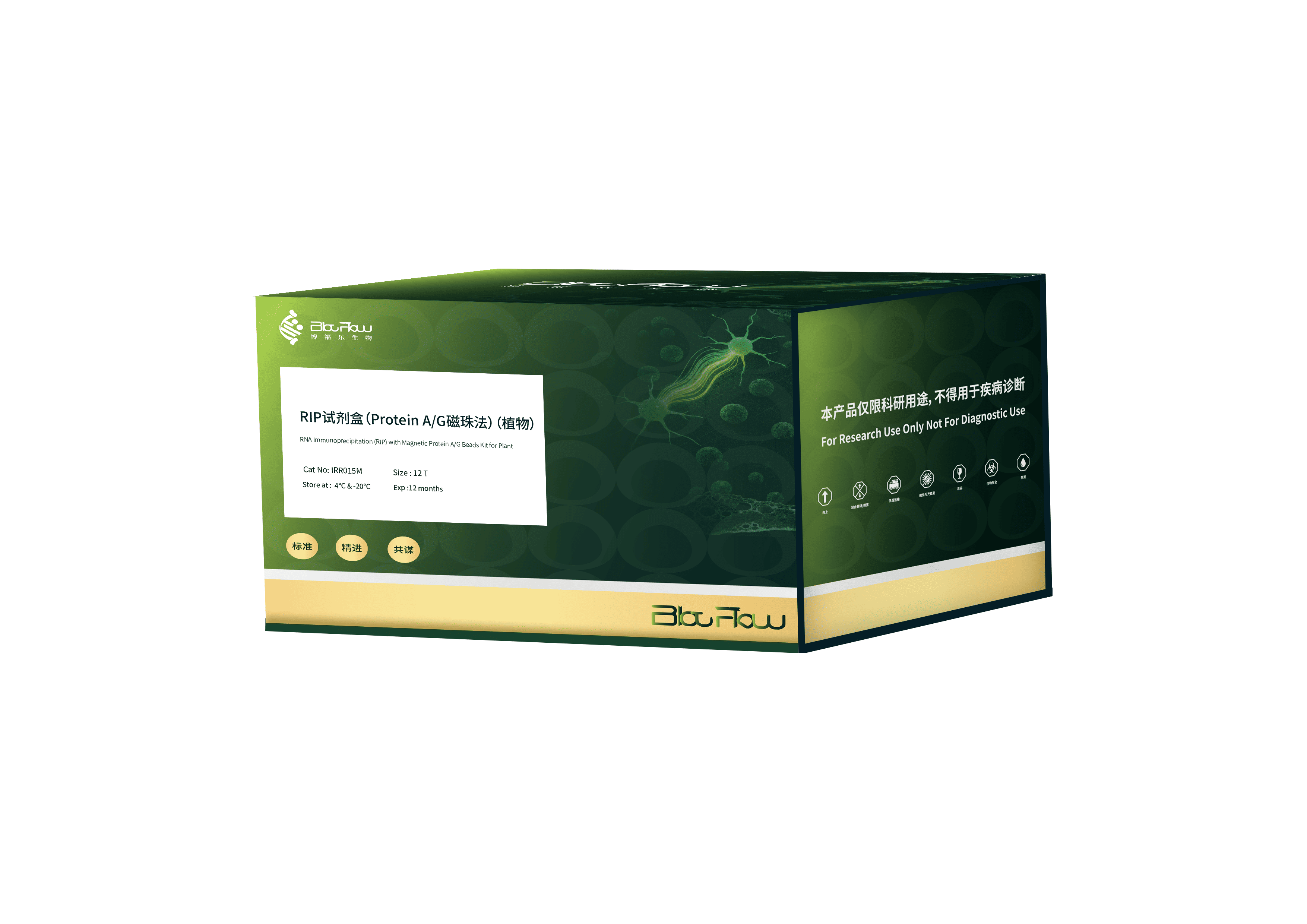 RIP试剂盒（Protein A/G磁珠法）（植物）