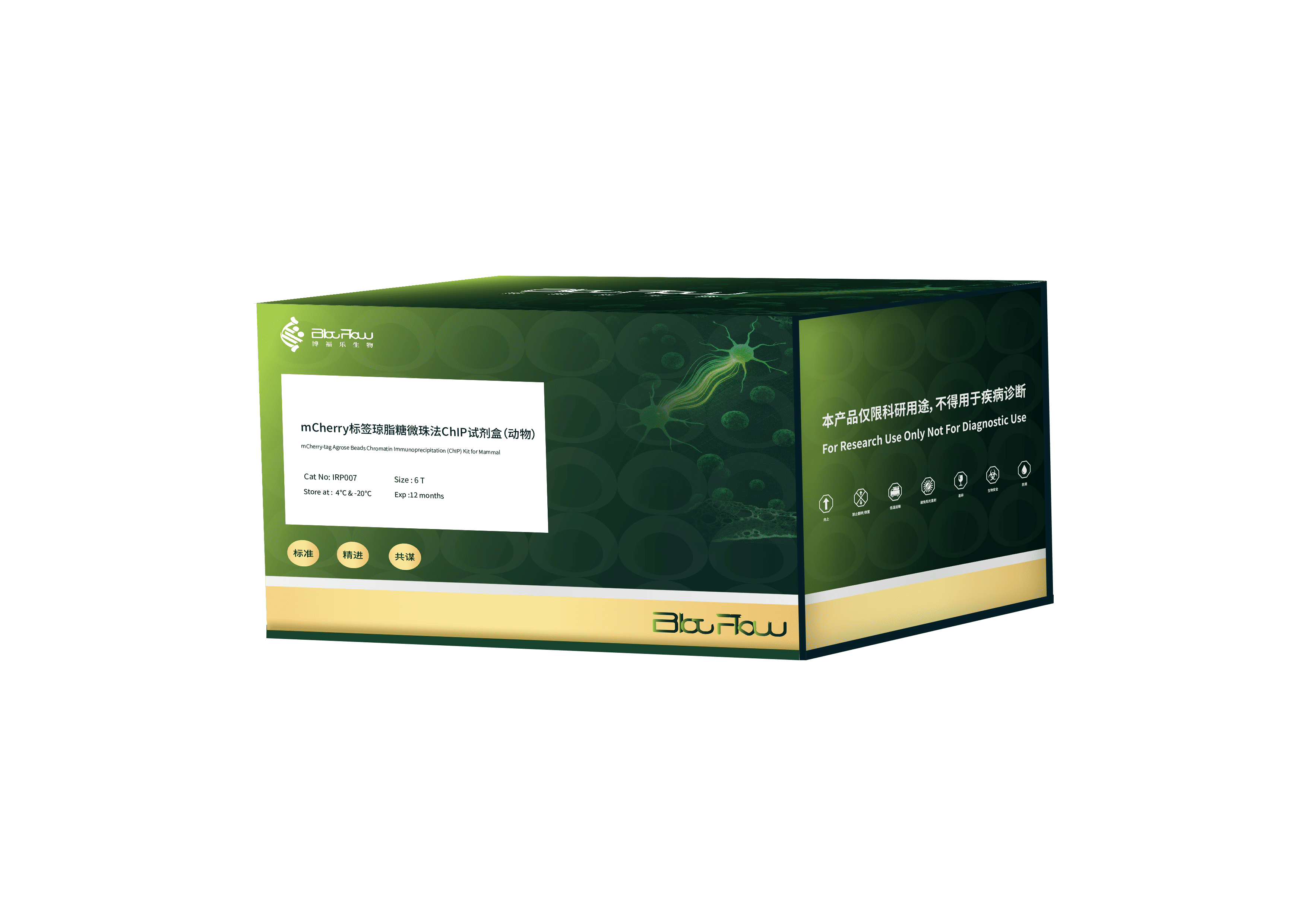 mCherry标签琼脂糖微珠法ChIP试剂盒（动物）