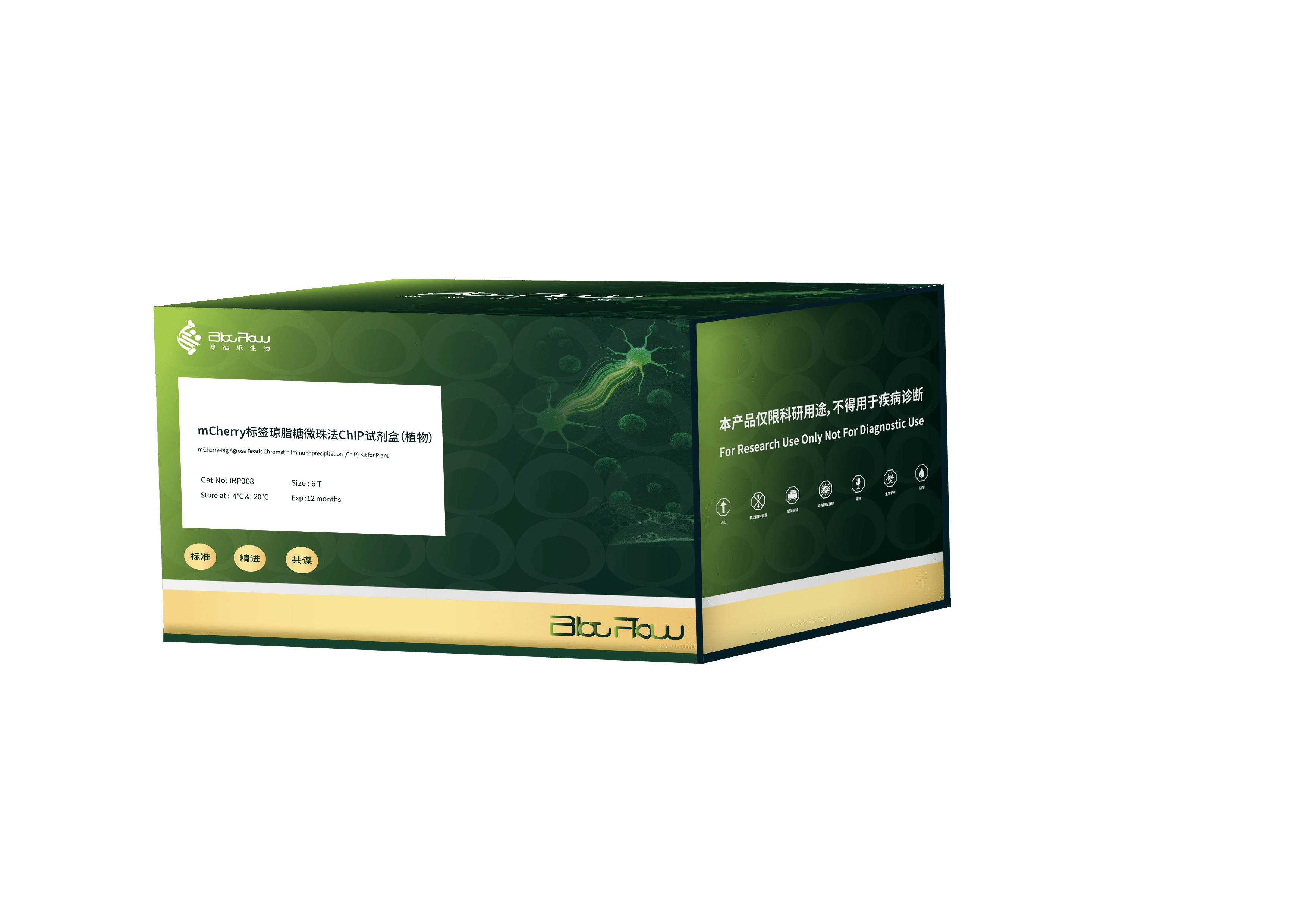 mCherry标签琼脂糖微珠法ChIP试剂盒（植物）