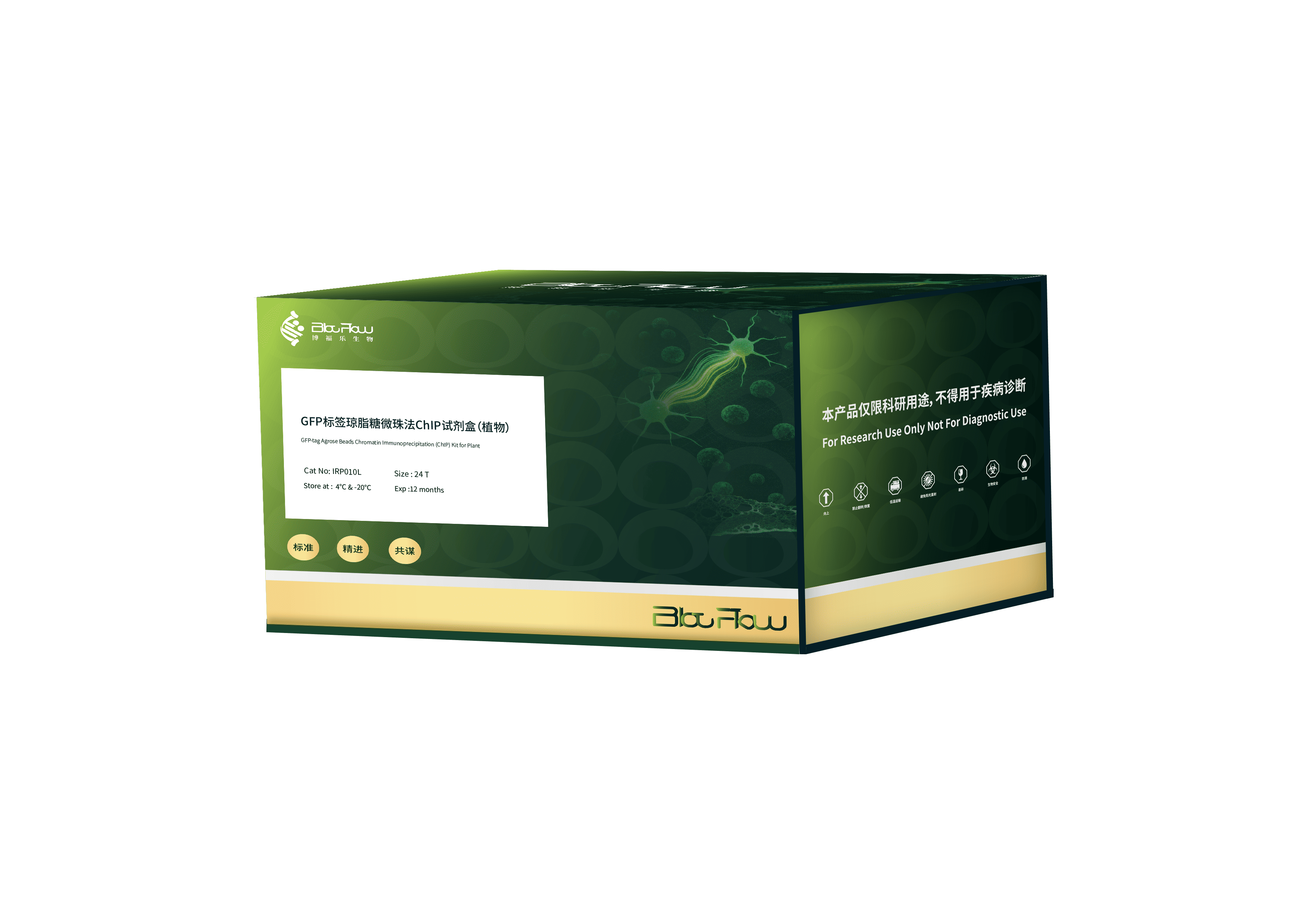 GFP标签琼脂糖微珠法ChIP试剂盒（植物）