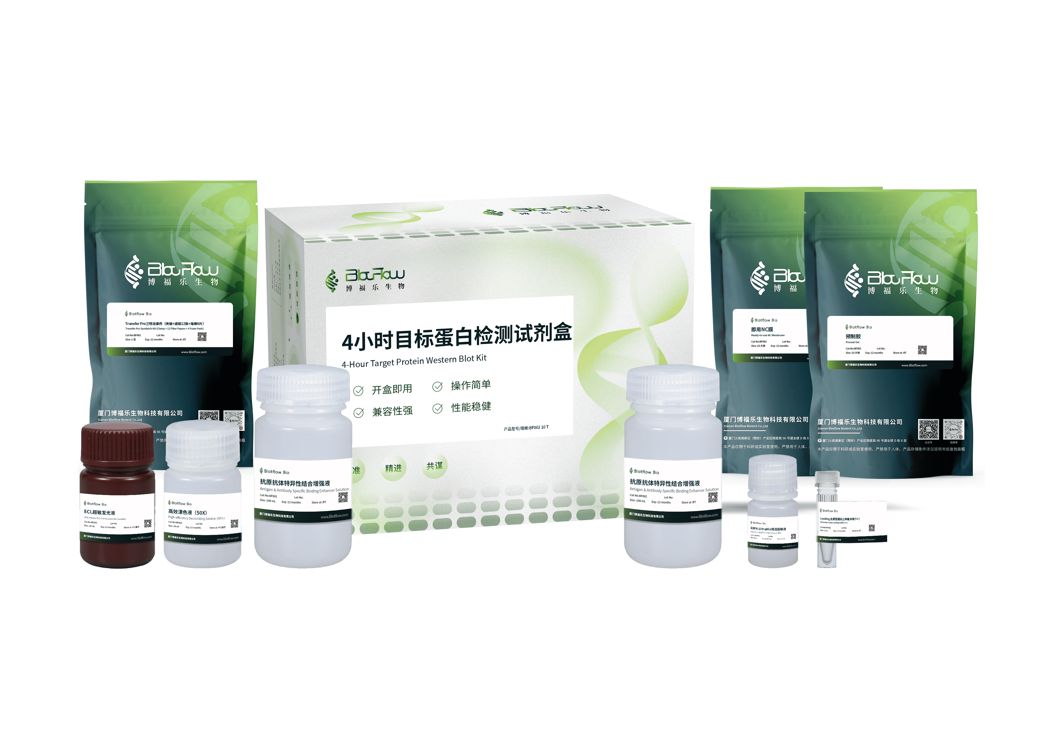 4小时目标蛋白检测试剂盒