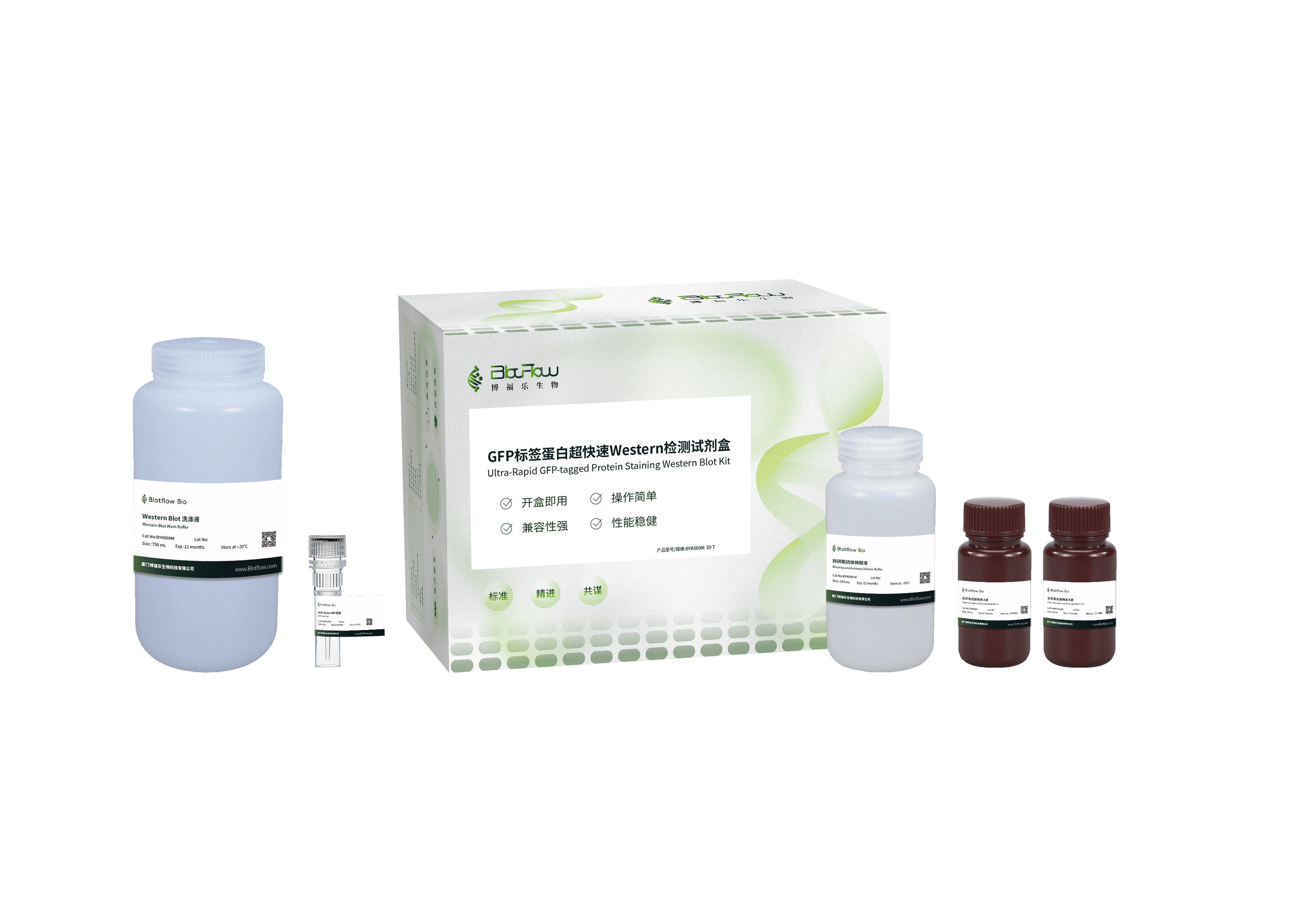 GFP标签蛋白超快速Western检测试剂盒