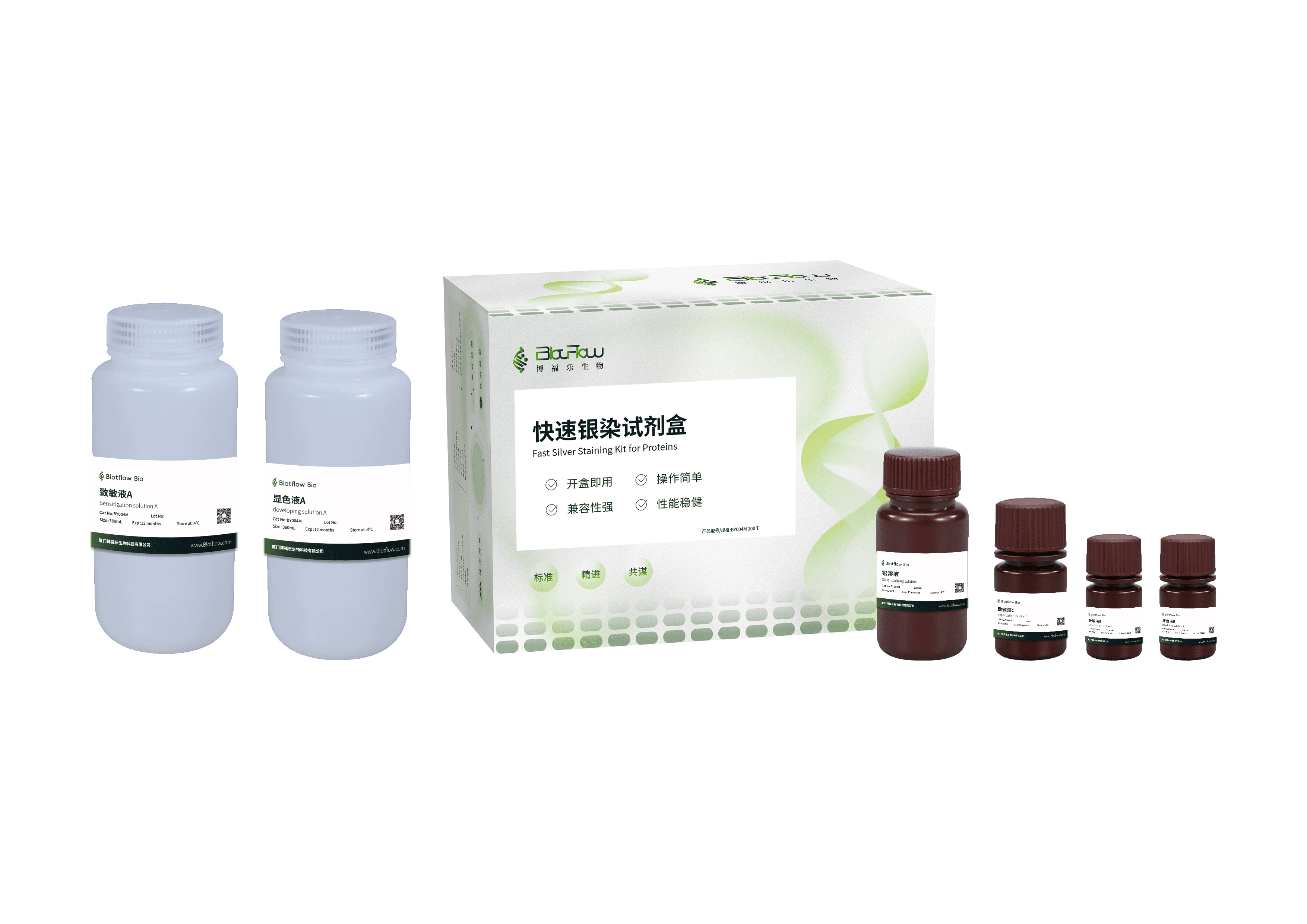 快速银染试剂盒