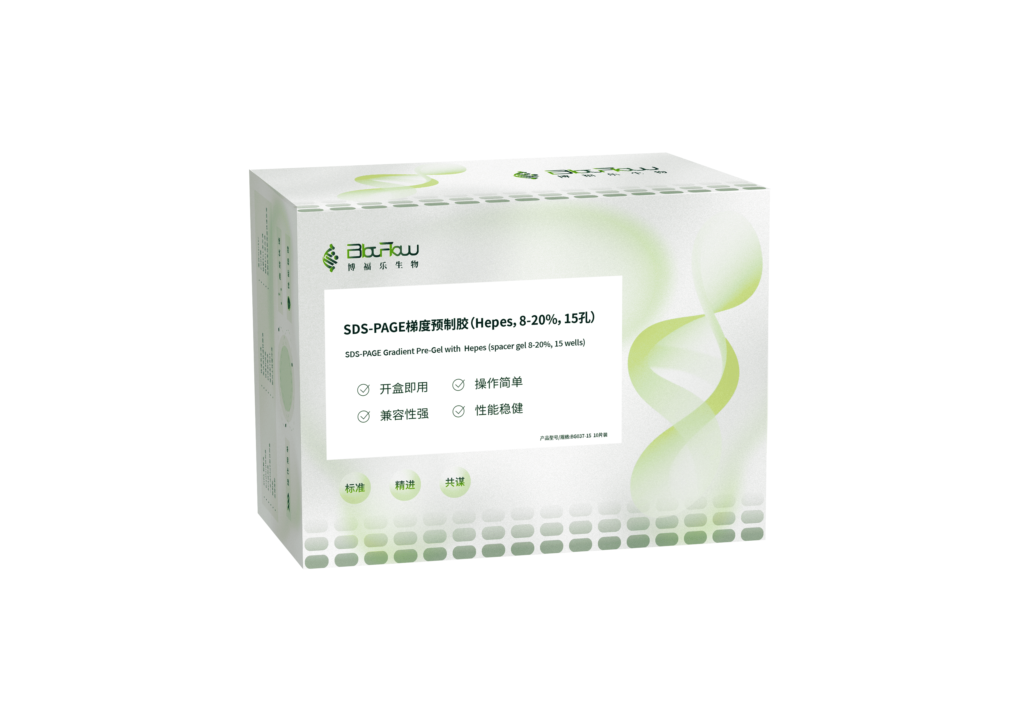 SDS-PAGE梯度预制胶（Hepes，8-20%）