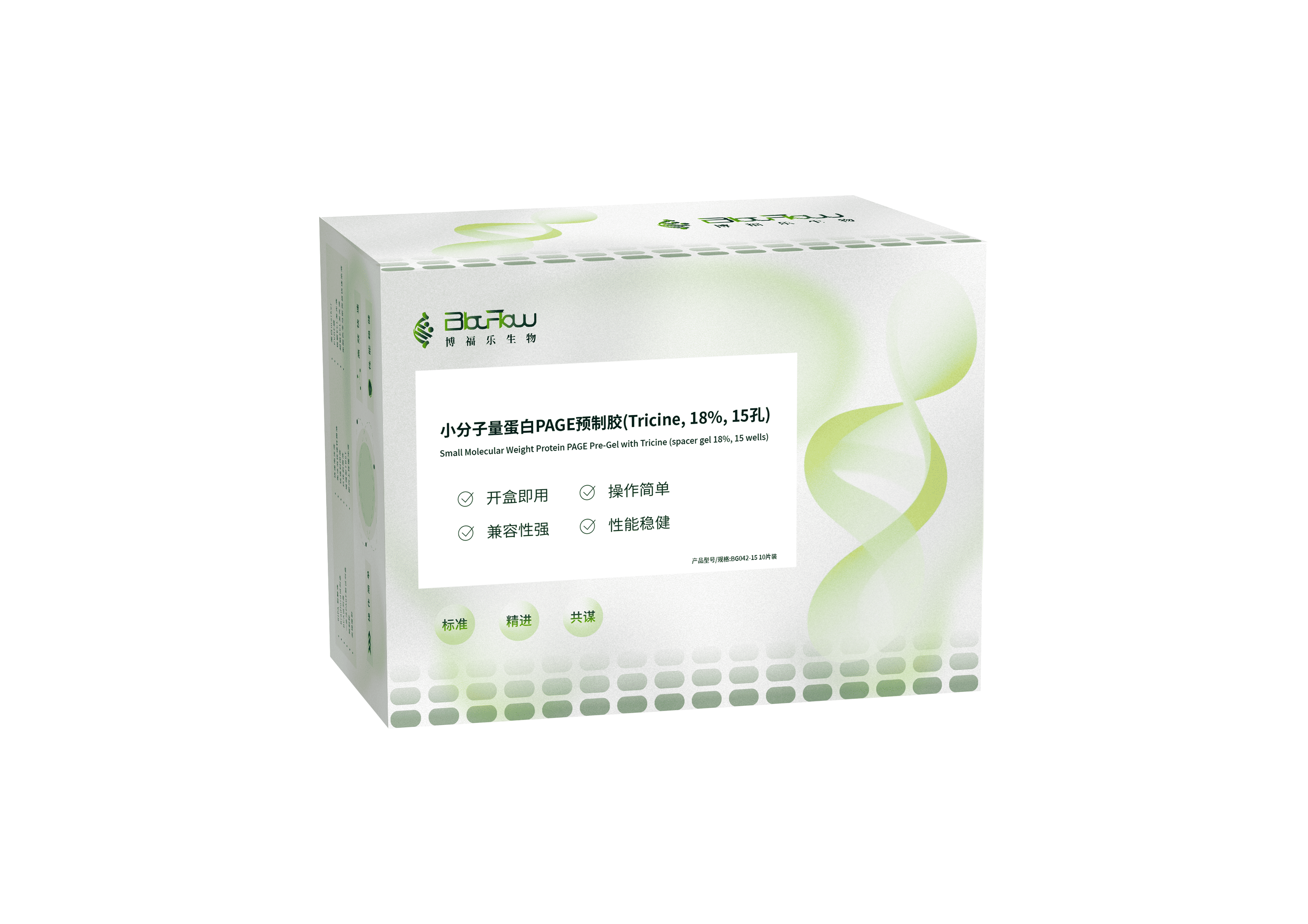 小分子量蛋白PAGE预制胶(Tricine, 18%)
