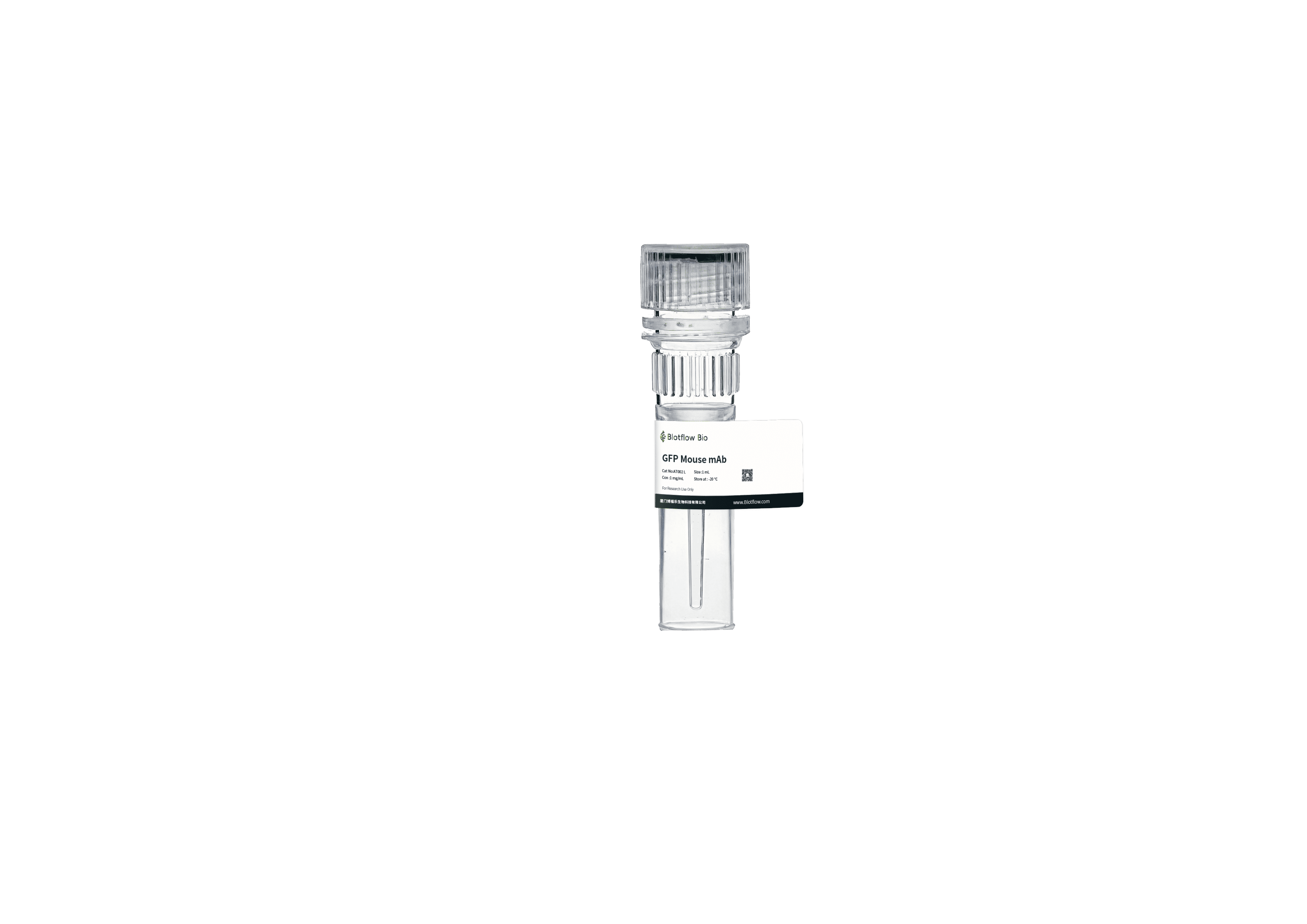 anti - GFPs MOUSE mAb