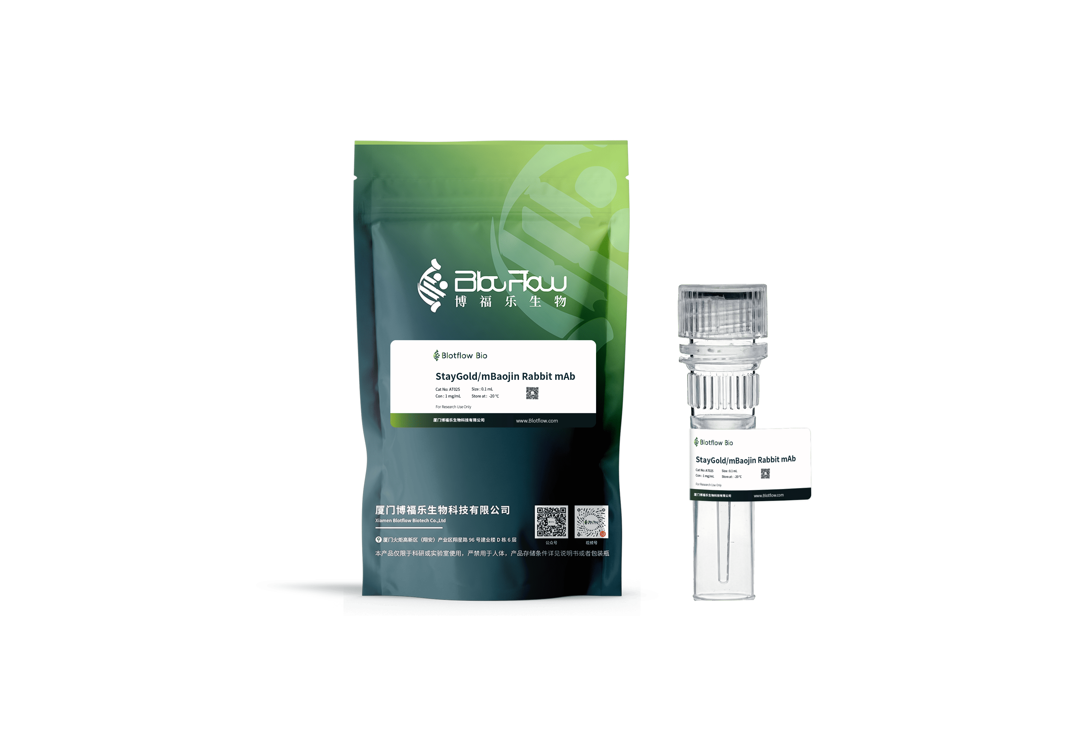 anti - StayGoldmBaojin Rabbit mAb