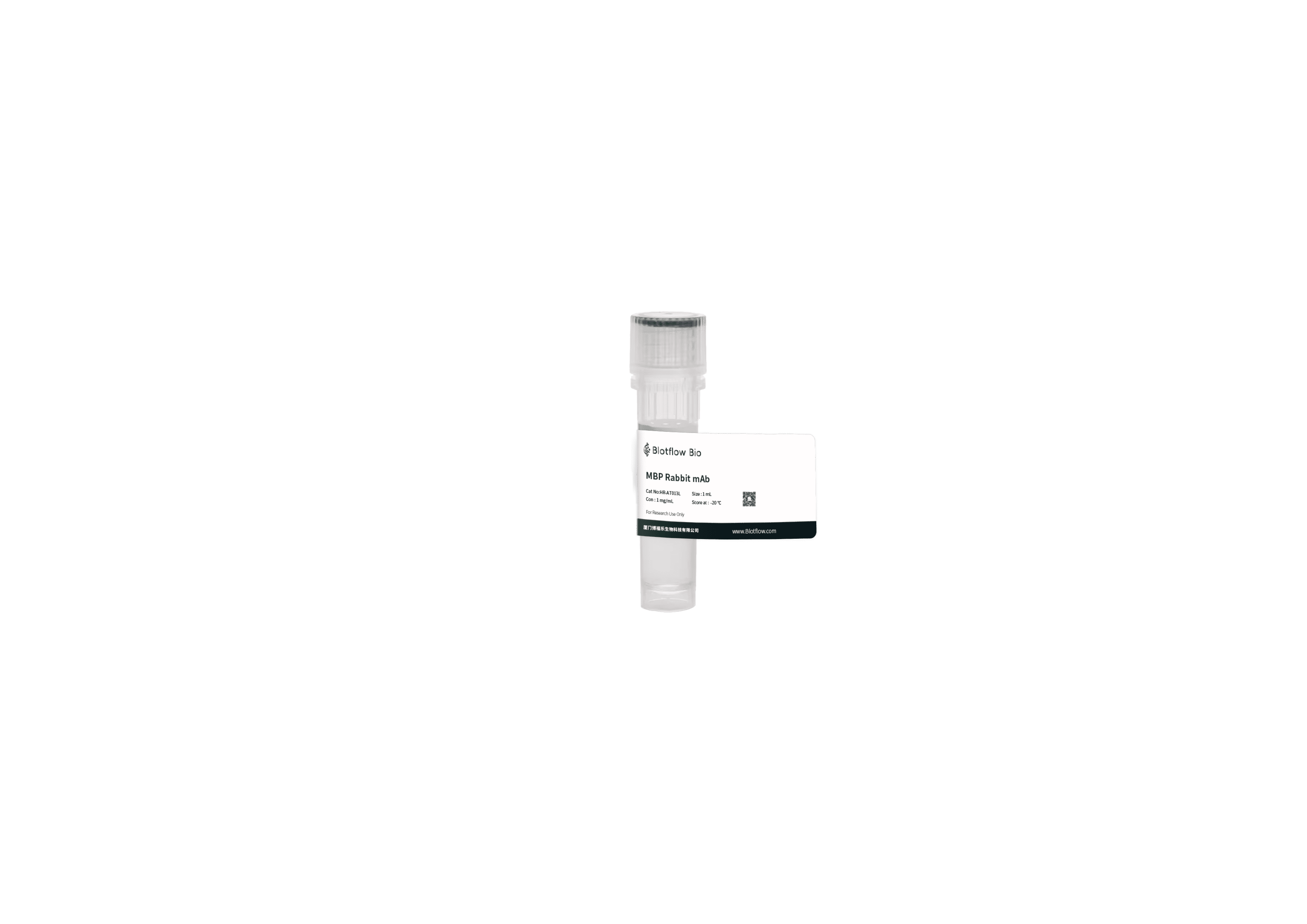 HRP-MBP Rabbit mAb