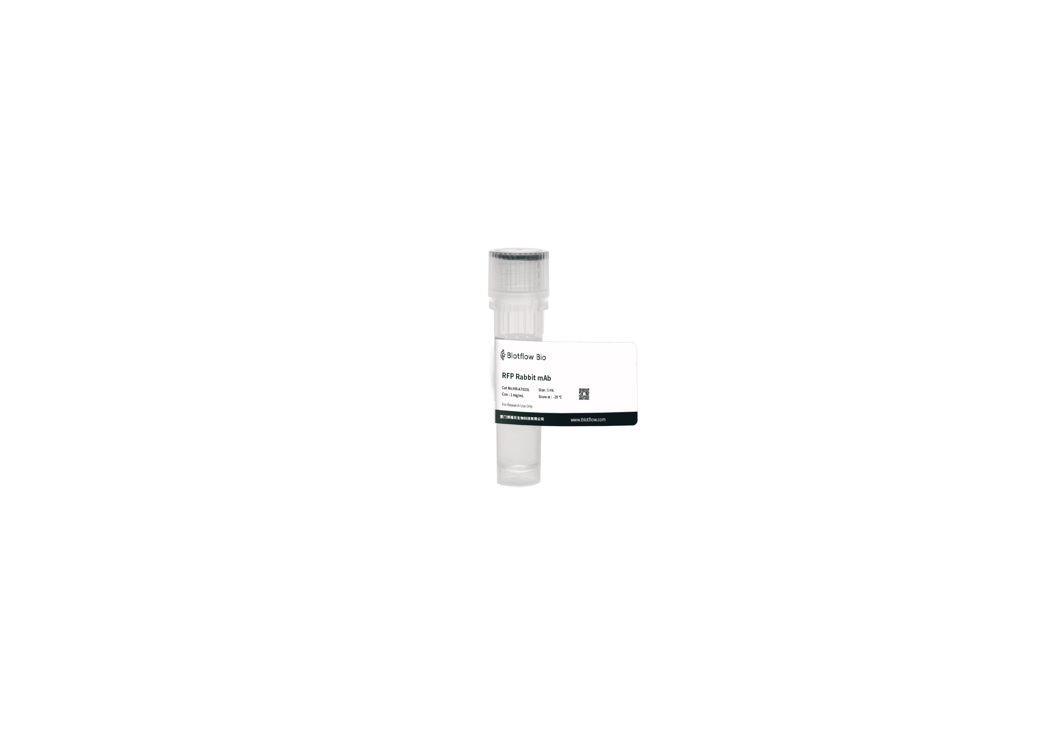 HRP-RFP Rabbit mAb