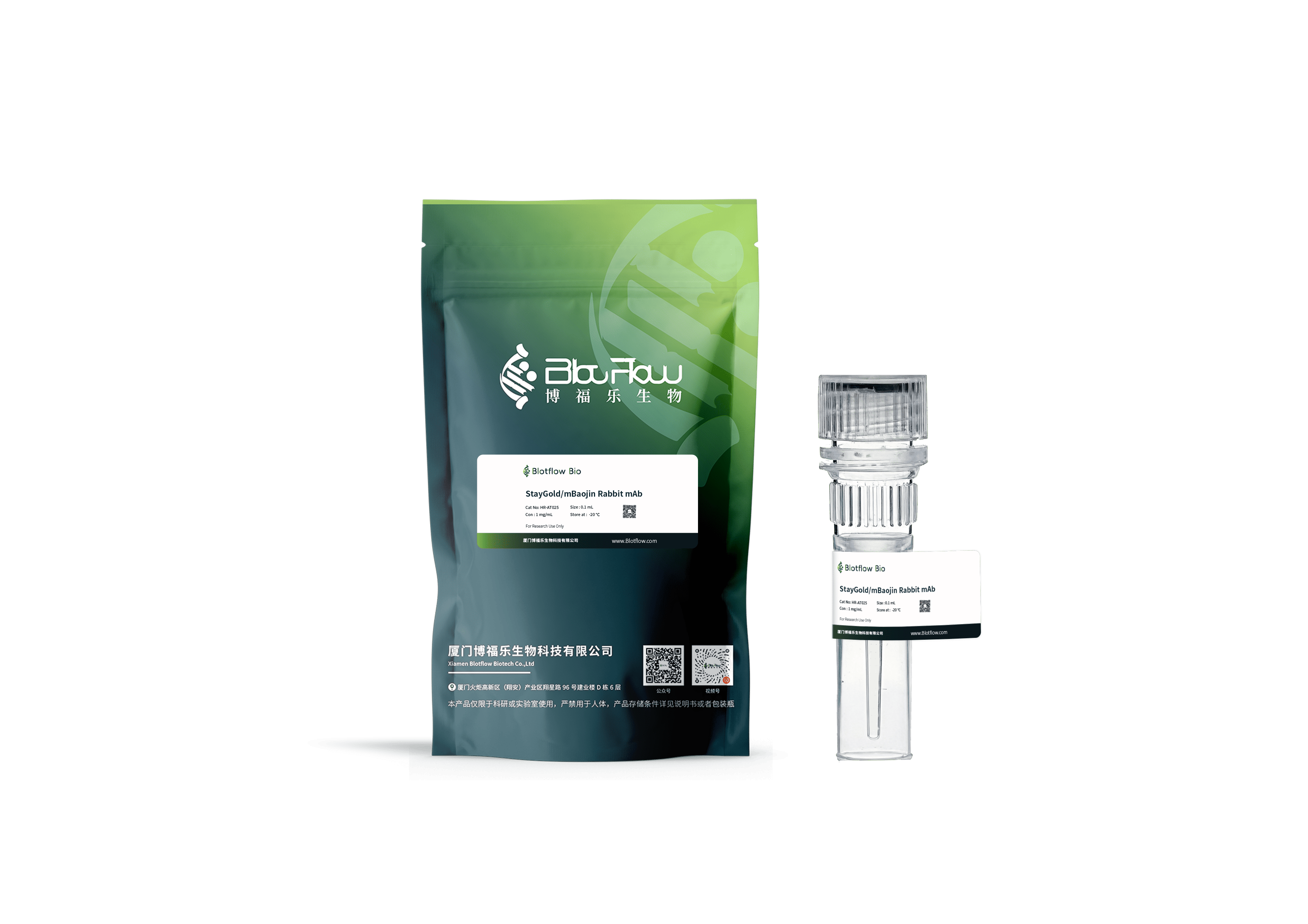 HRP-StayGoldmBaojin Rabbit mAb