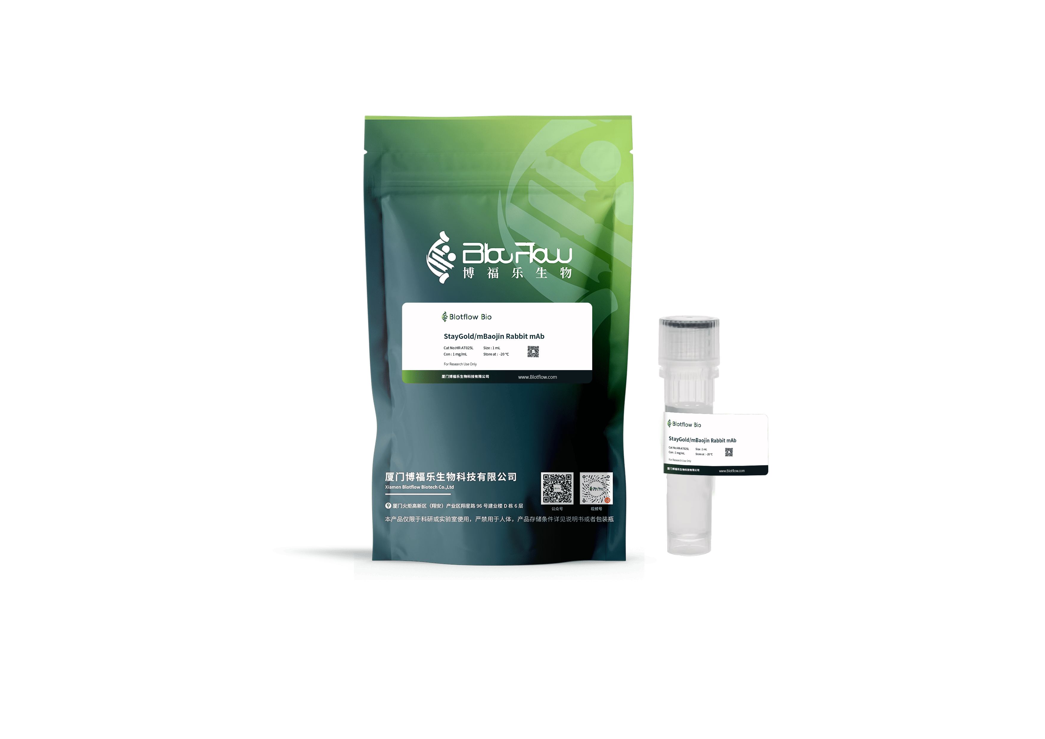 HRP-StayGoldmBaojin Rabbit mAb