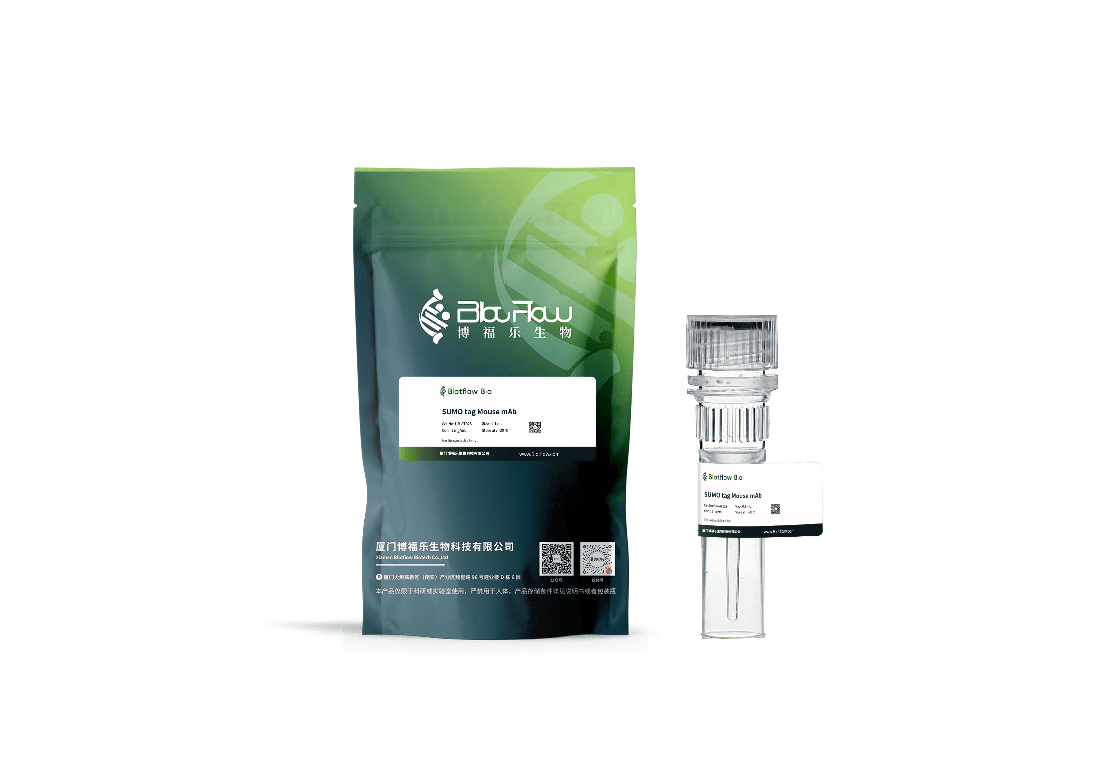 HRP-SUMO tag Mouse mAb