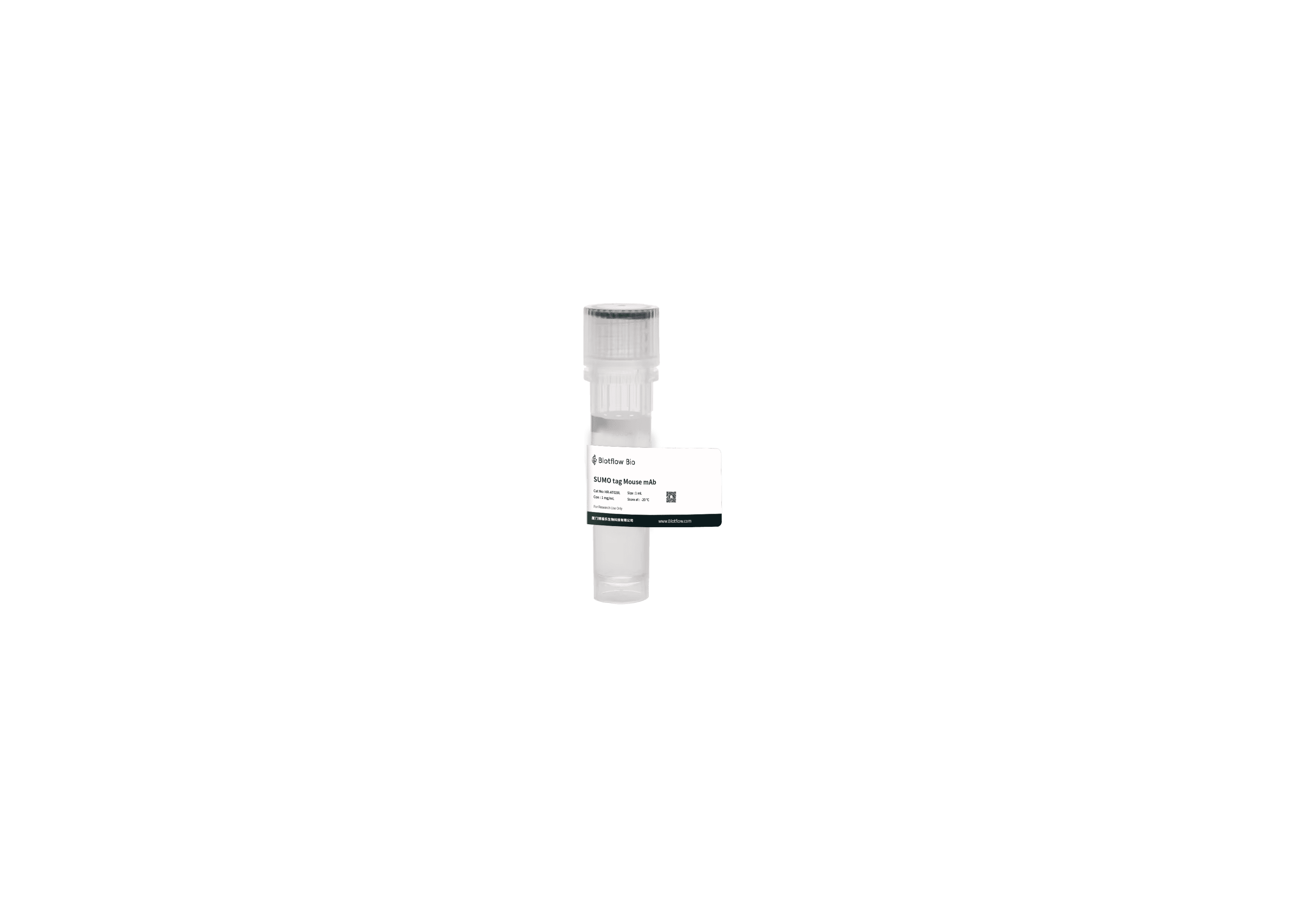 HRP-SUMO tag Mouse mAb