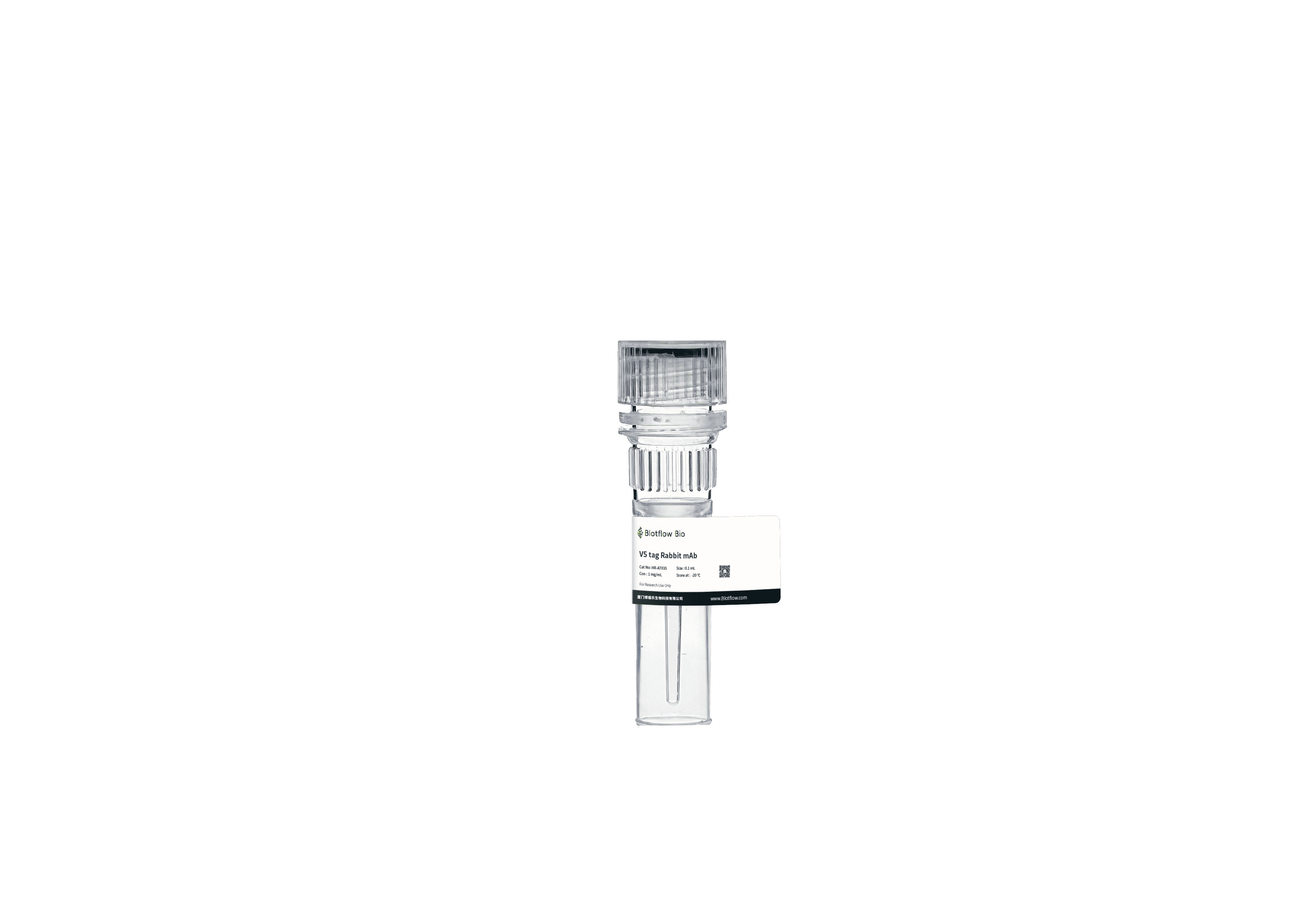 HRP-V5 tag Rabbit mAb