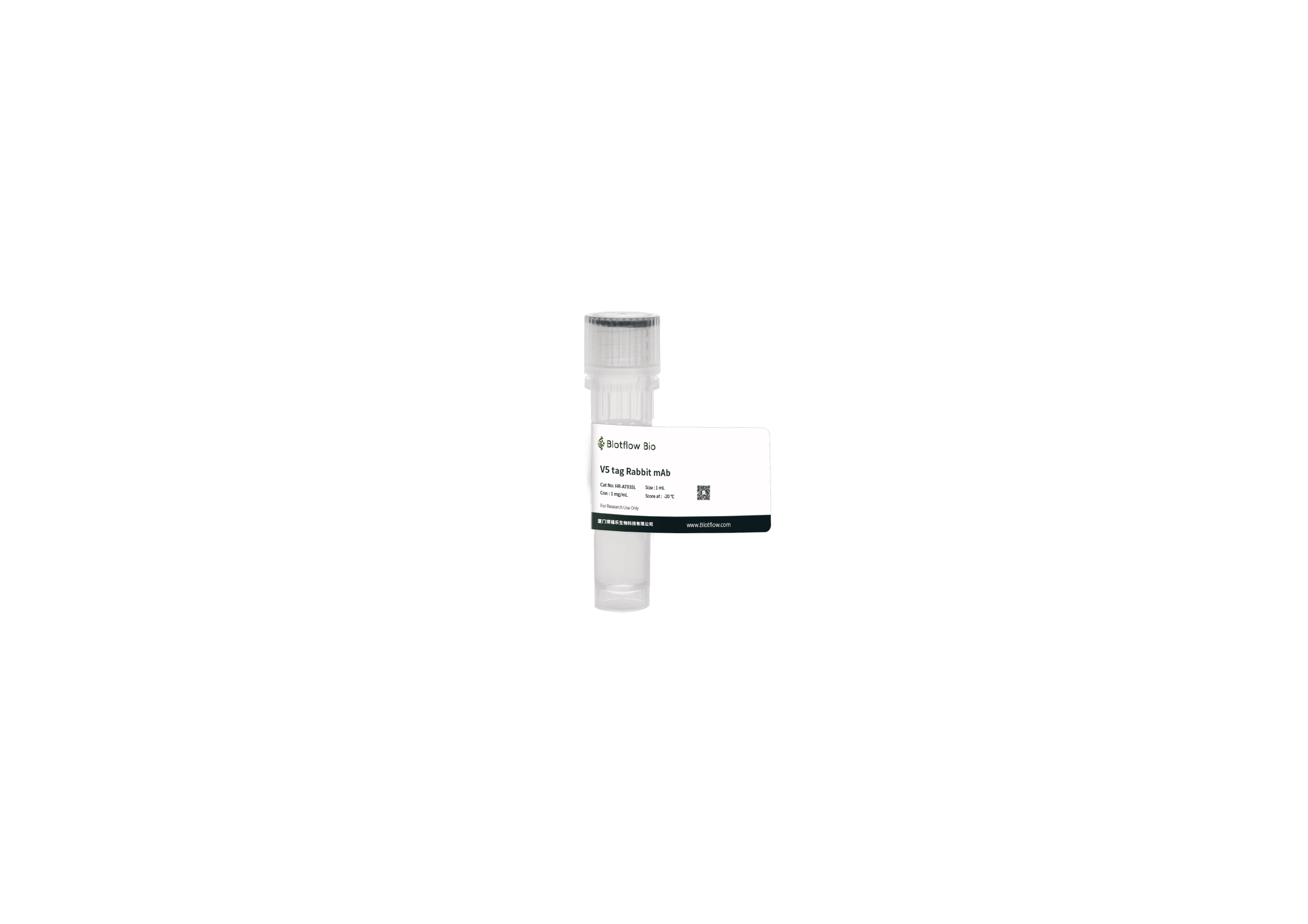 HRP-V5 tag Rabbit mAb