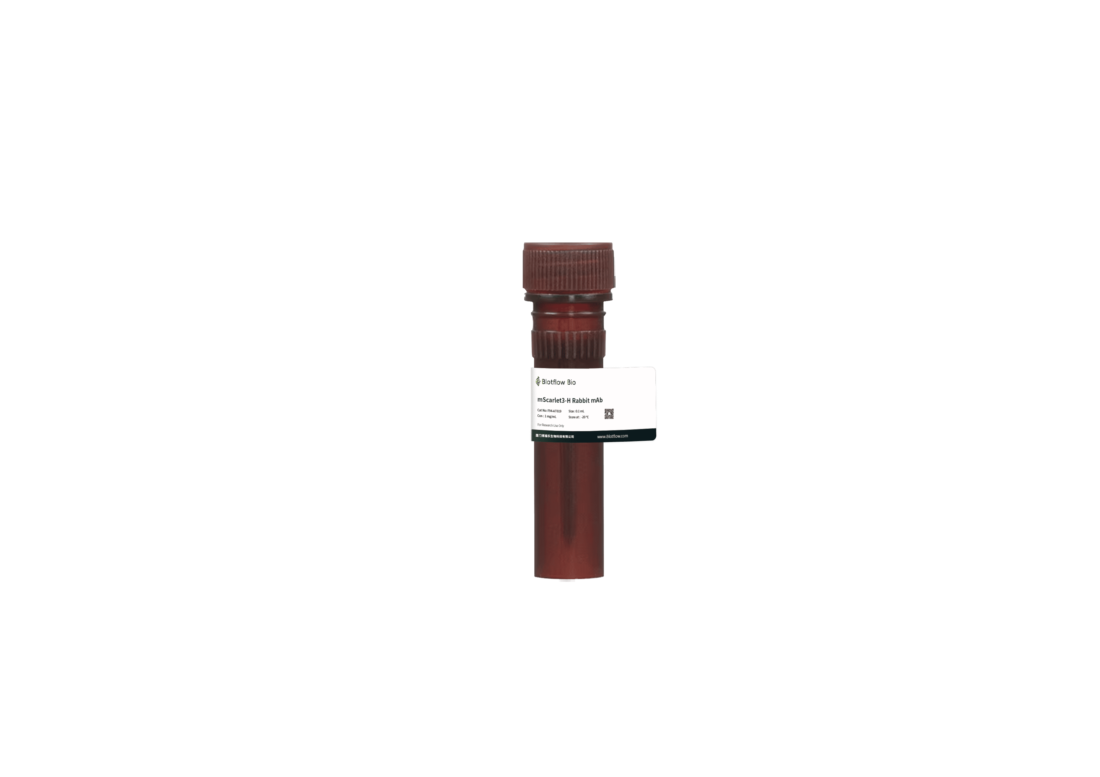594-mScarlet3-H Rabbit mAb