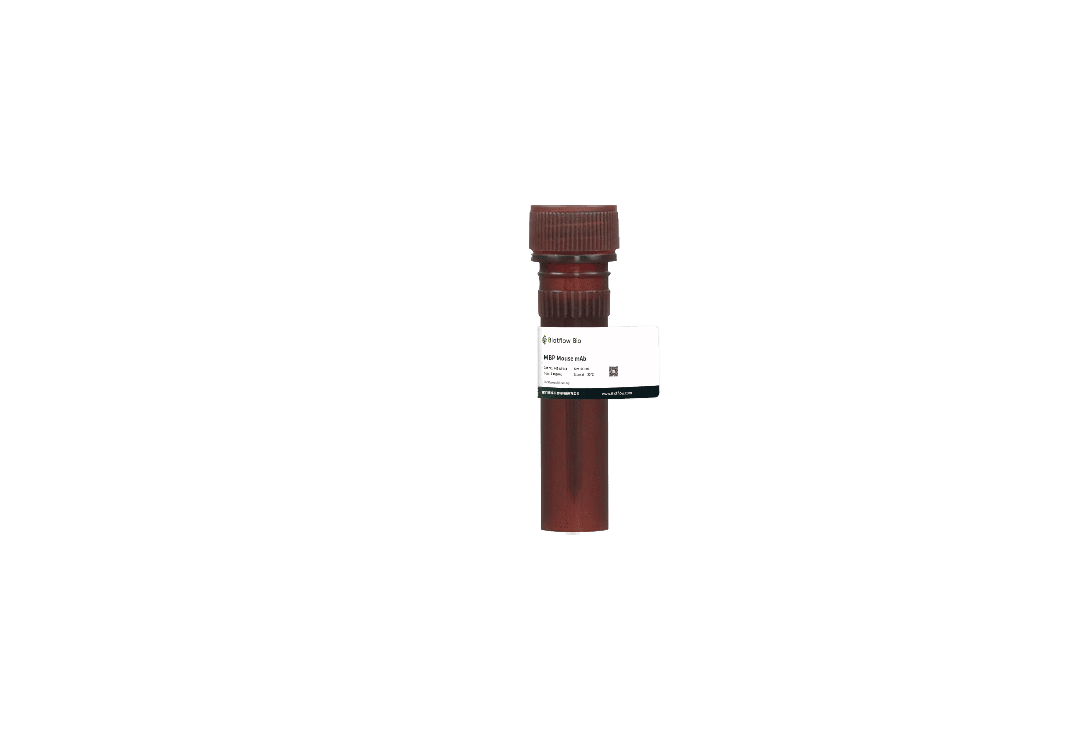 647-MBP Mouse mAb