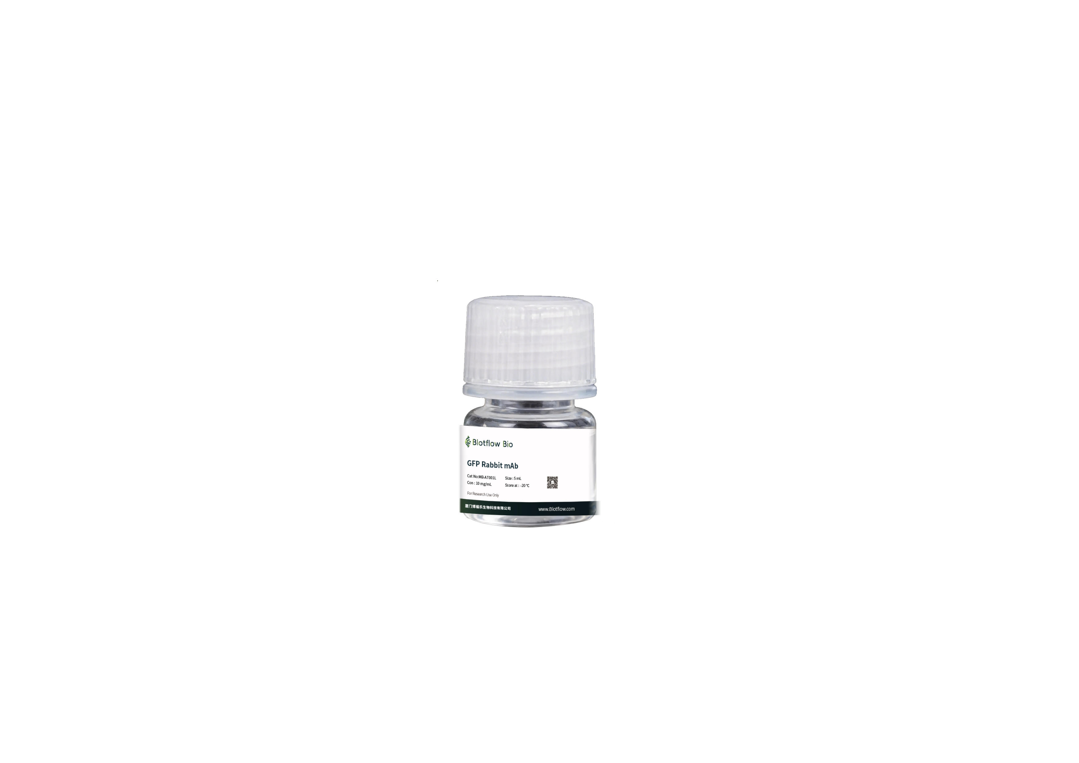magnetic beads conjunct-anti-GFP Rabbit mAb