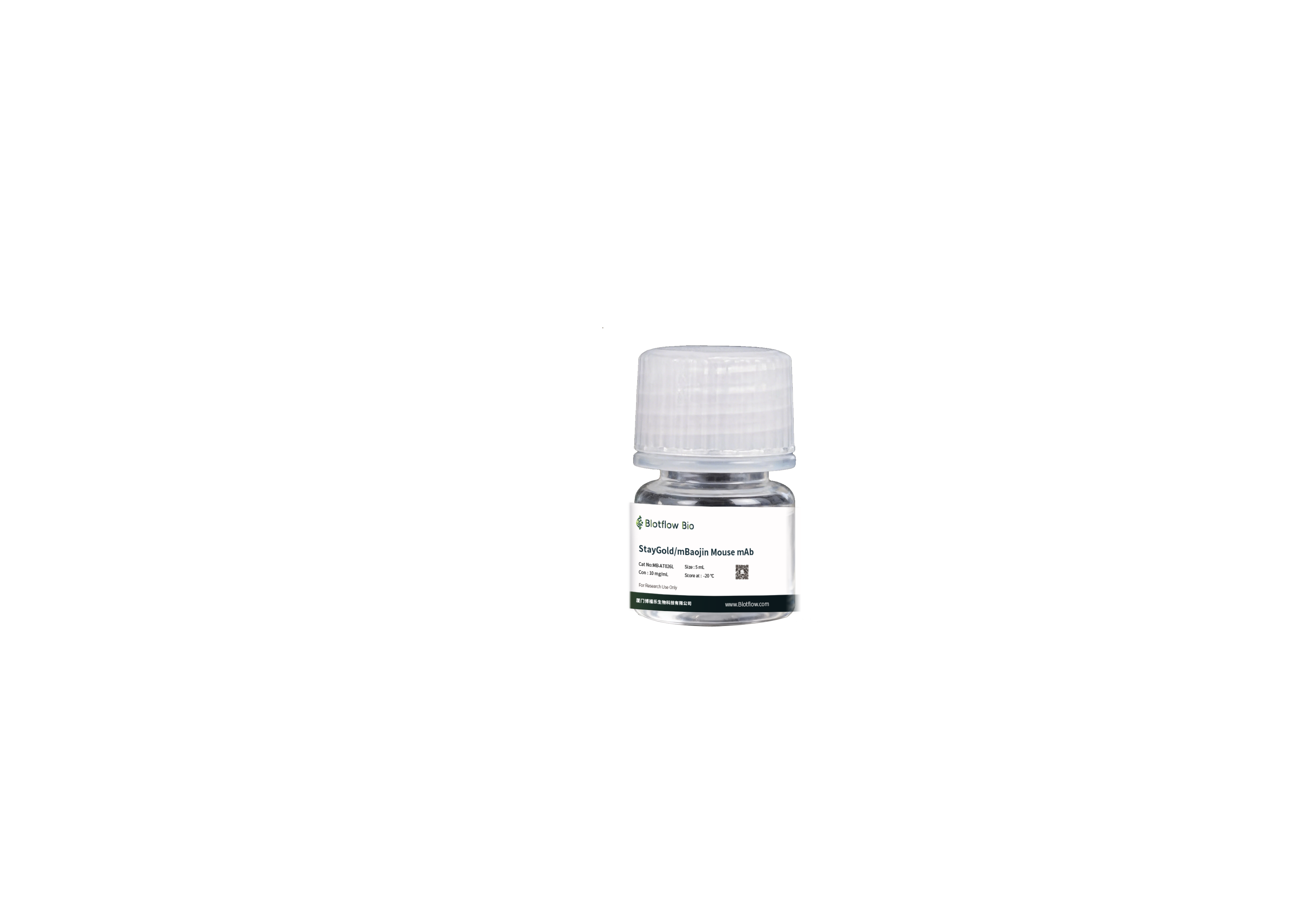 magnetic beads conjunct-anti-StayGoldmBaojin Mouse mAb