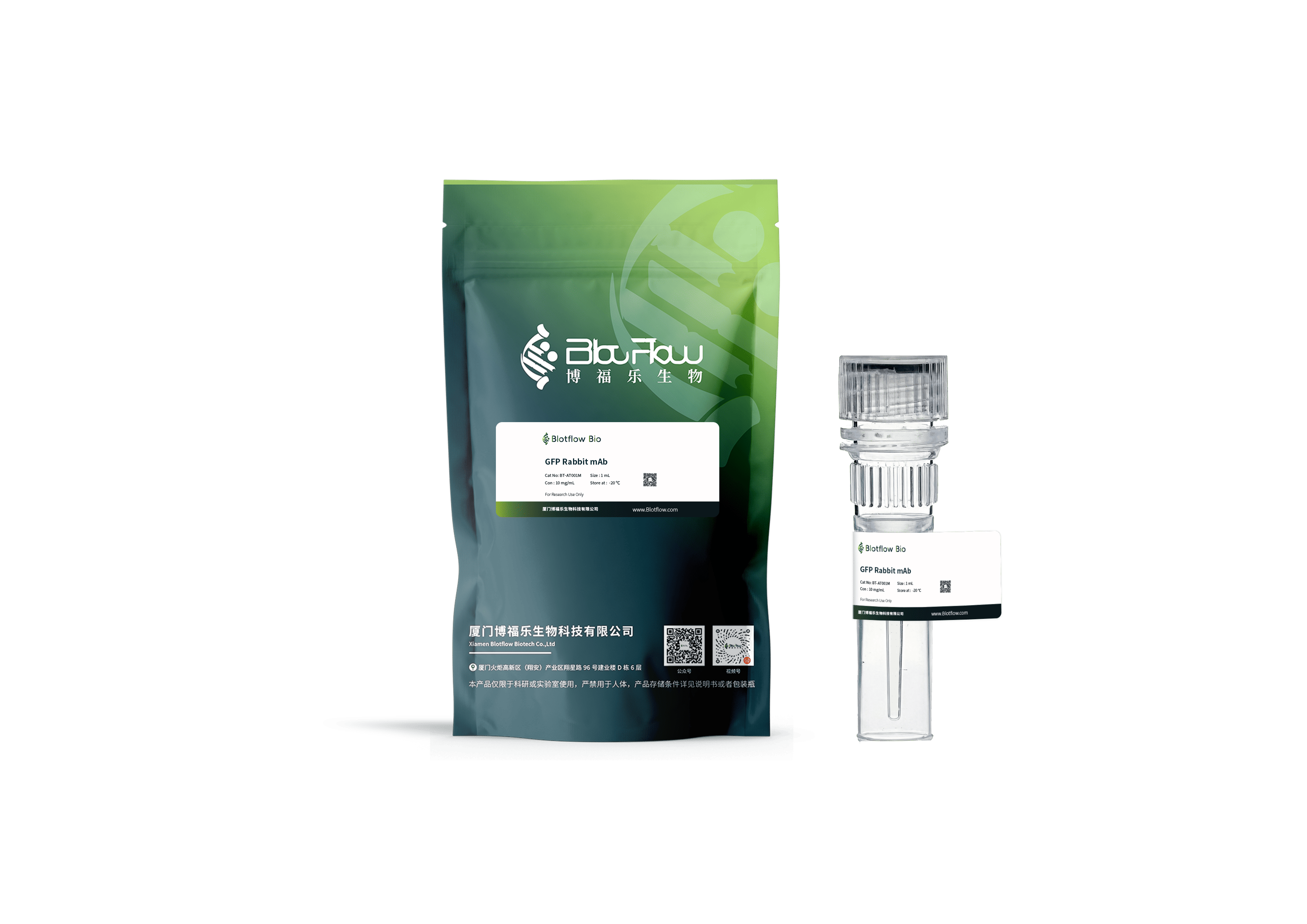 Biotin conjunct-anti-GFP Rabbit mAb