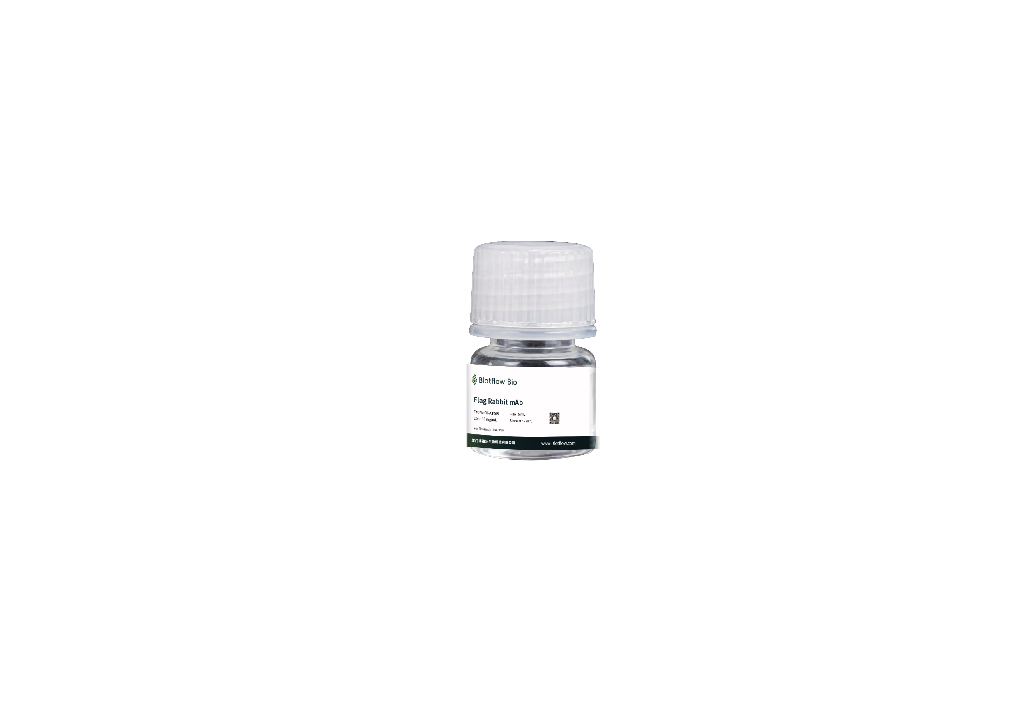 Biotin conjunct-anti-Flag Rabbit mAb