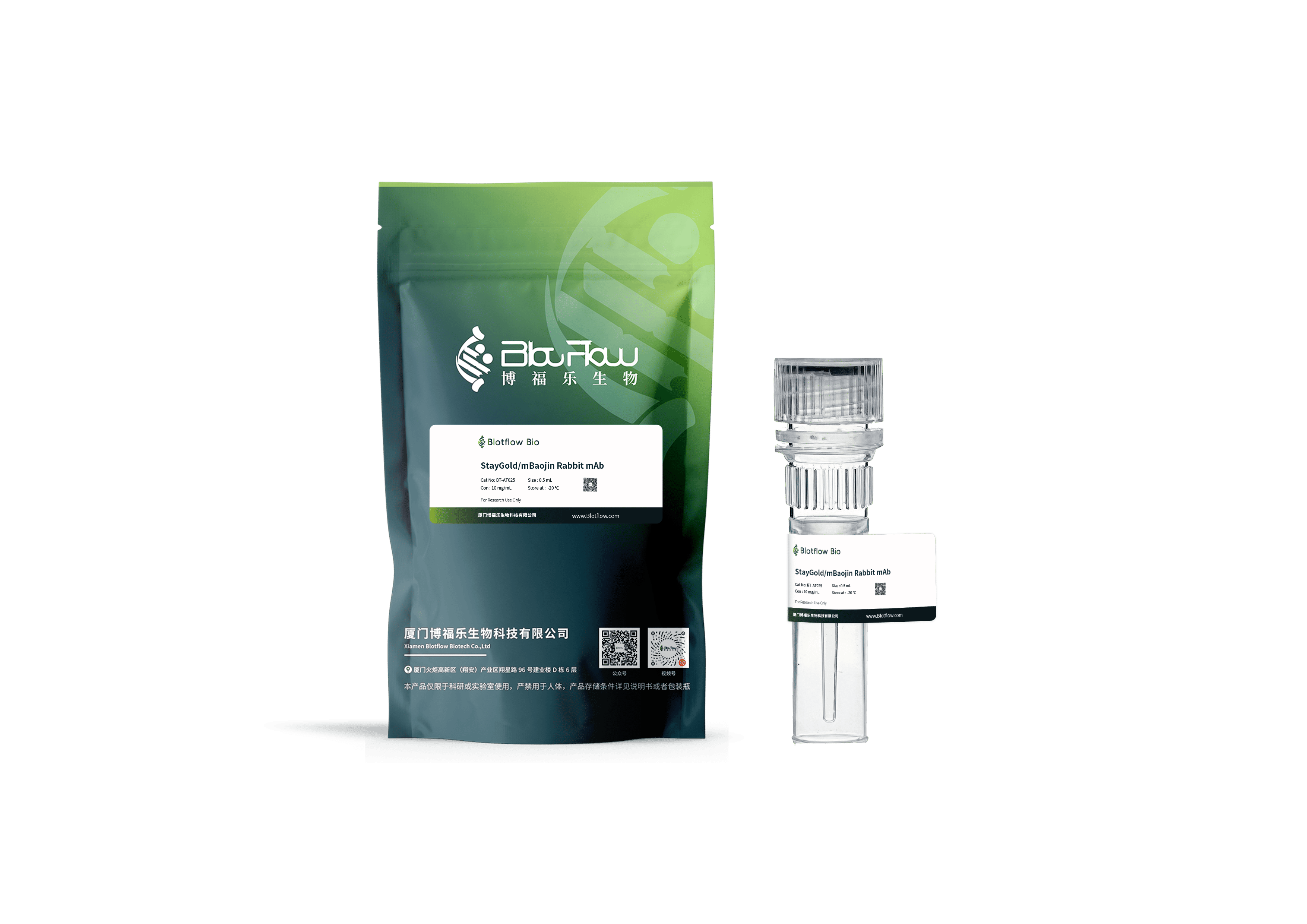 Biotin conjunct-anti-StayGoldmBaojin Rabbit mAb