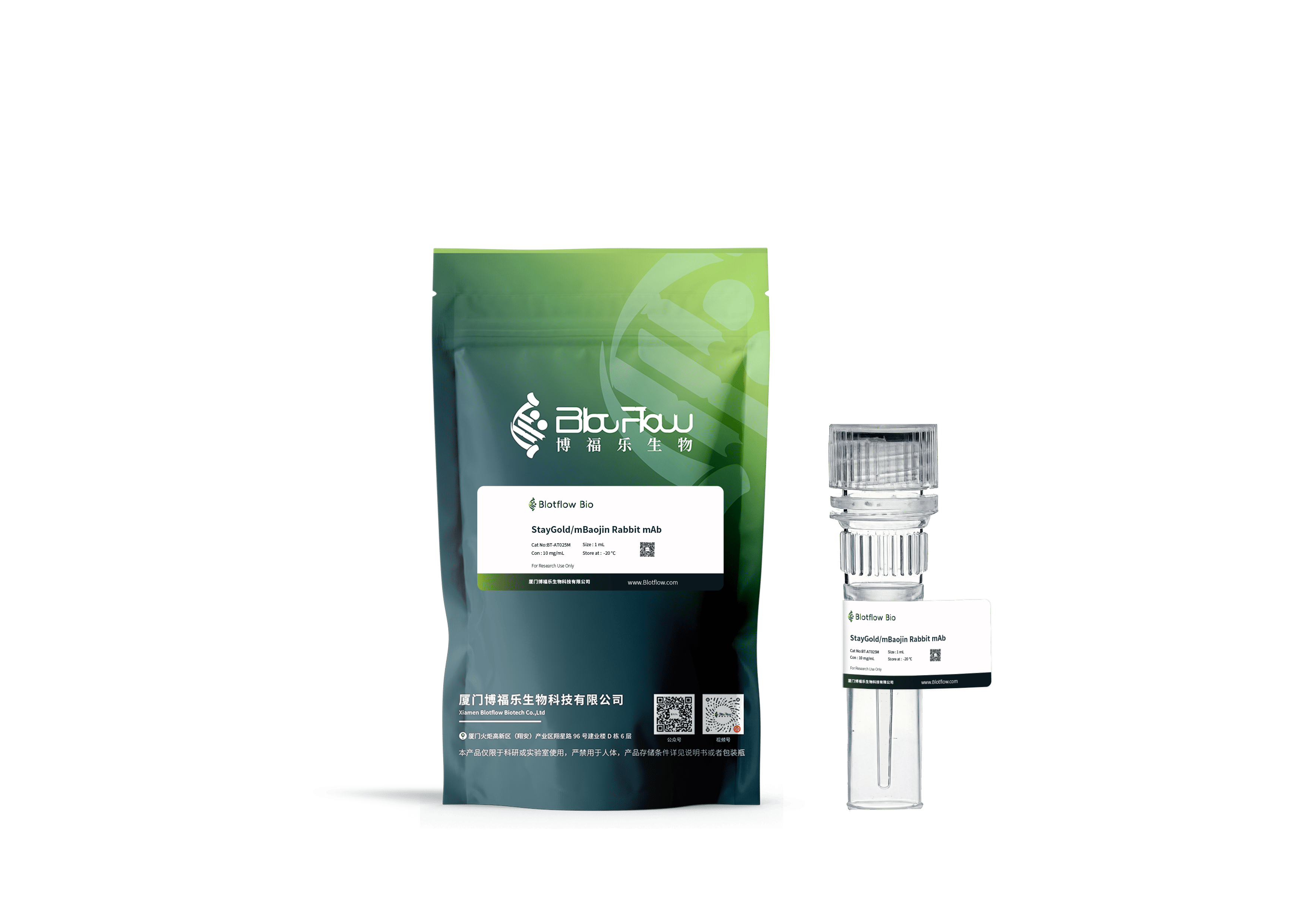 Biotin conjunct-anti-StayGoldmBaojin Rabbit mAb