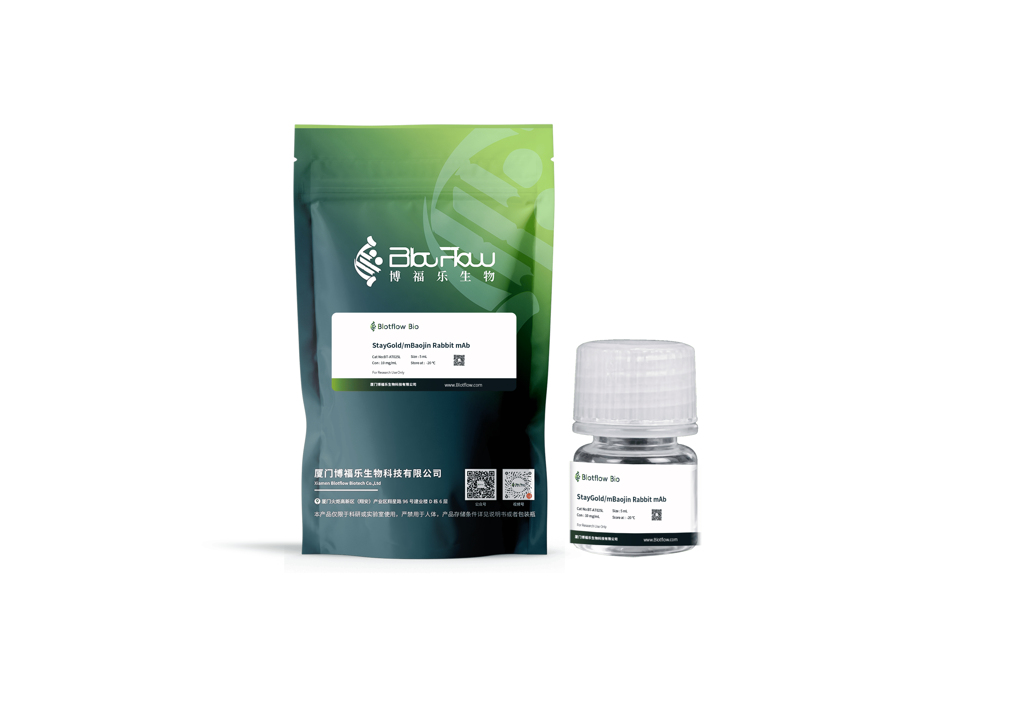 Biotin conjunct-anti-StayGoldmBaojin Rabbit mAb