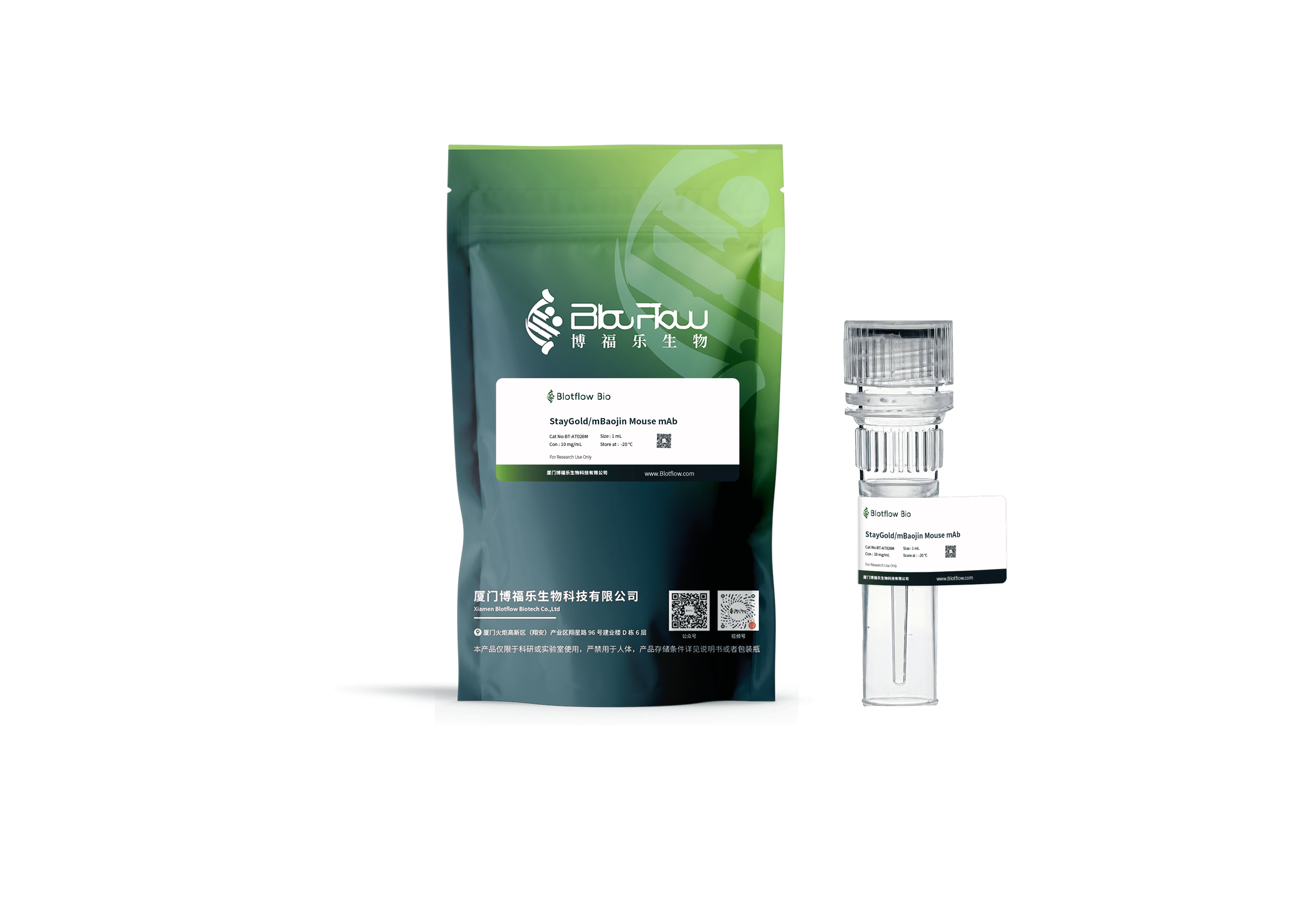 Biotin conjunct-anti-StayGoldmBaojin Mouse mAb