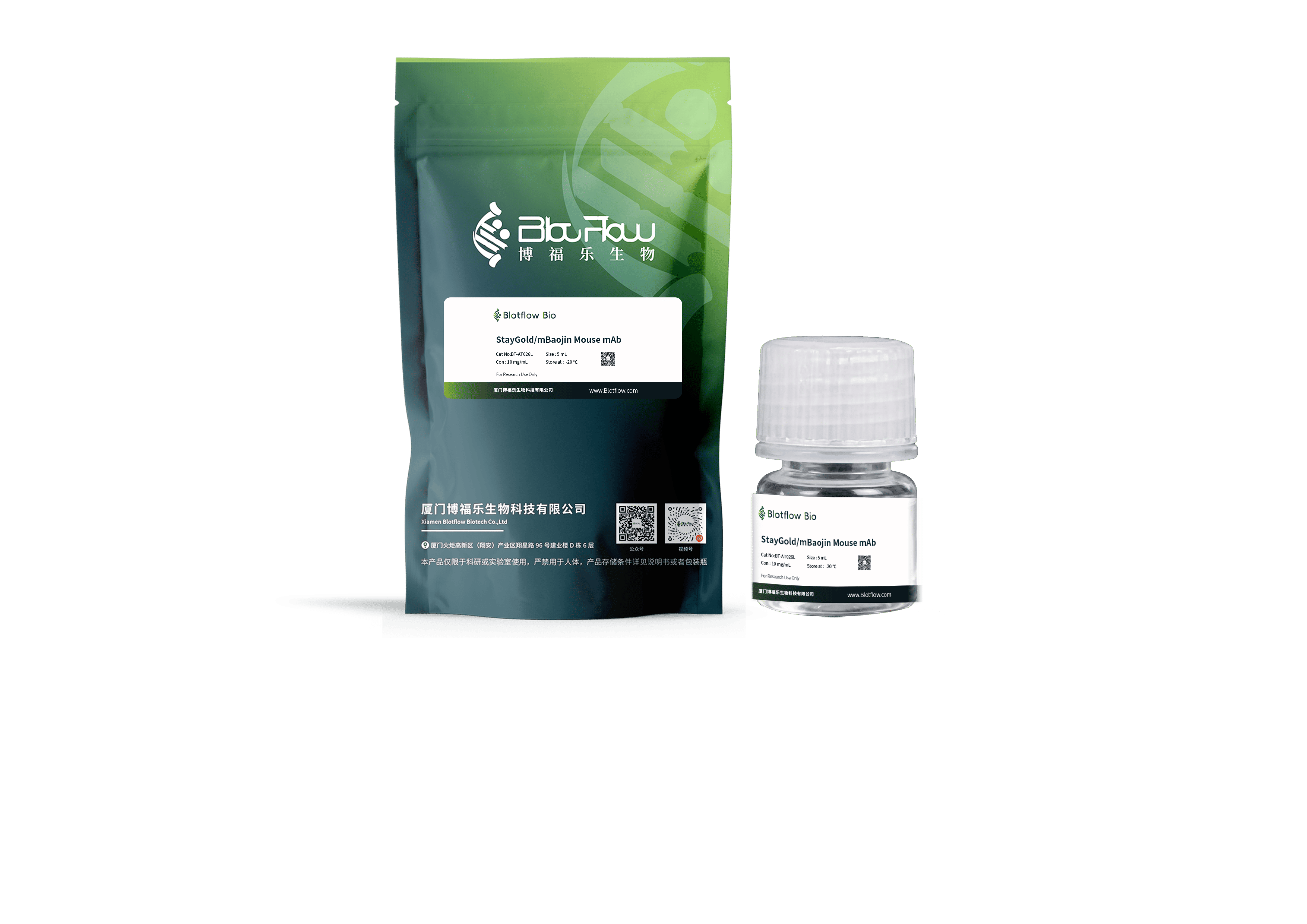 Biotin conjunct-anti-StayGoldmBaojin Mouse mAb