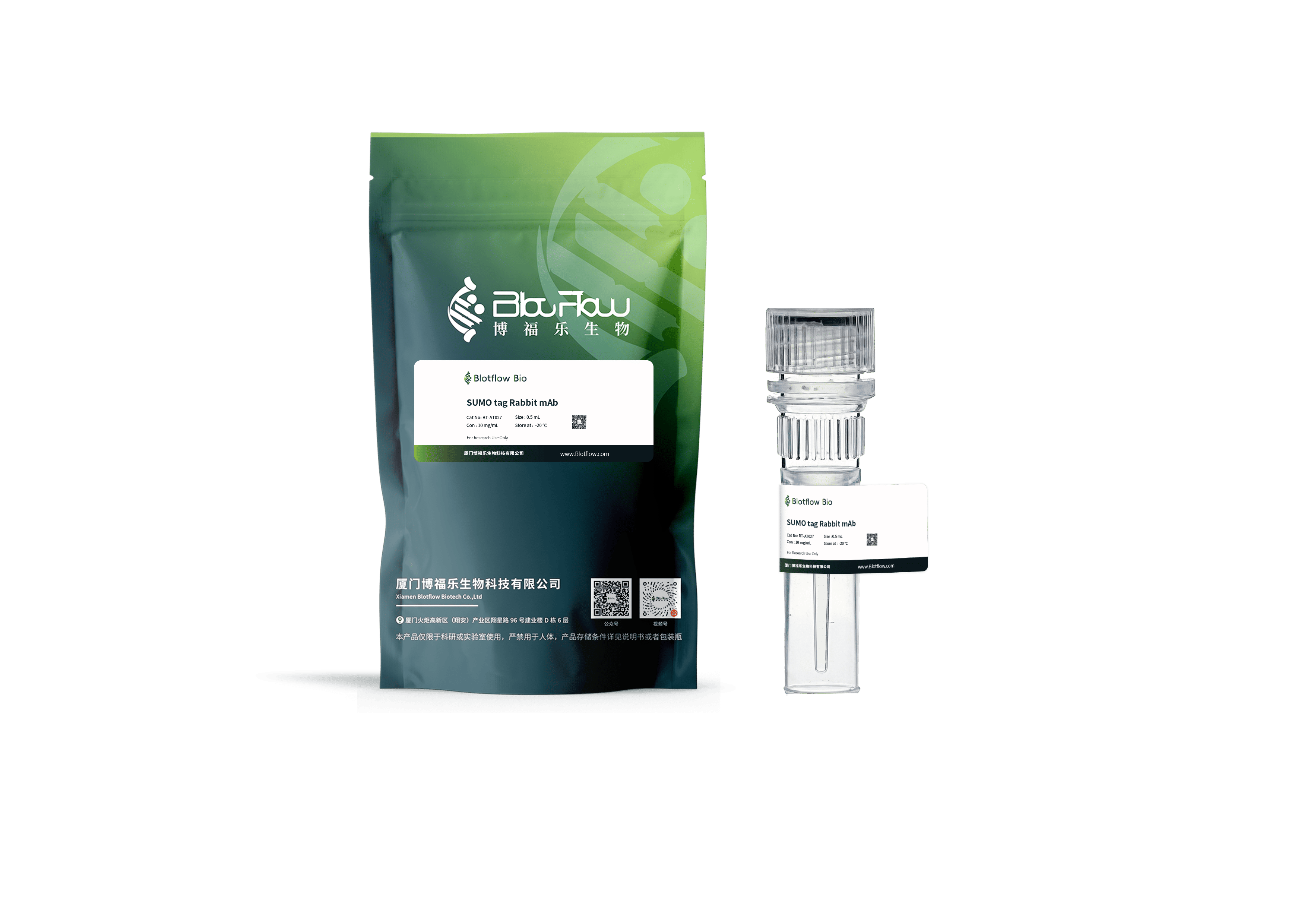 Biotin conjunct-anti-StayGoldmBaojin Mouse mAb