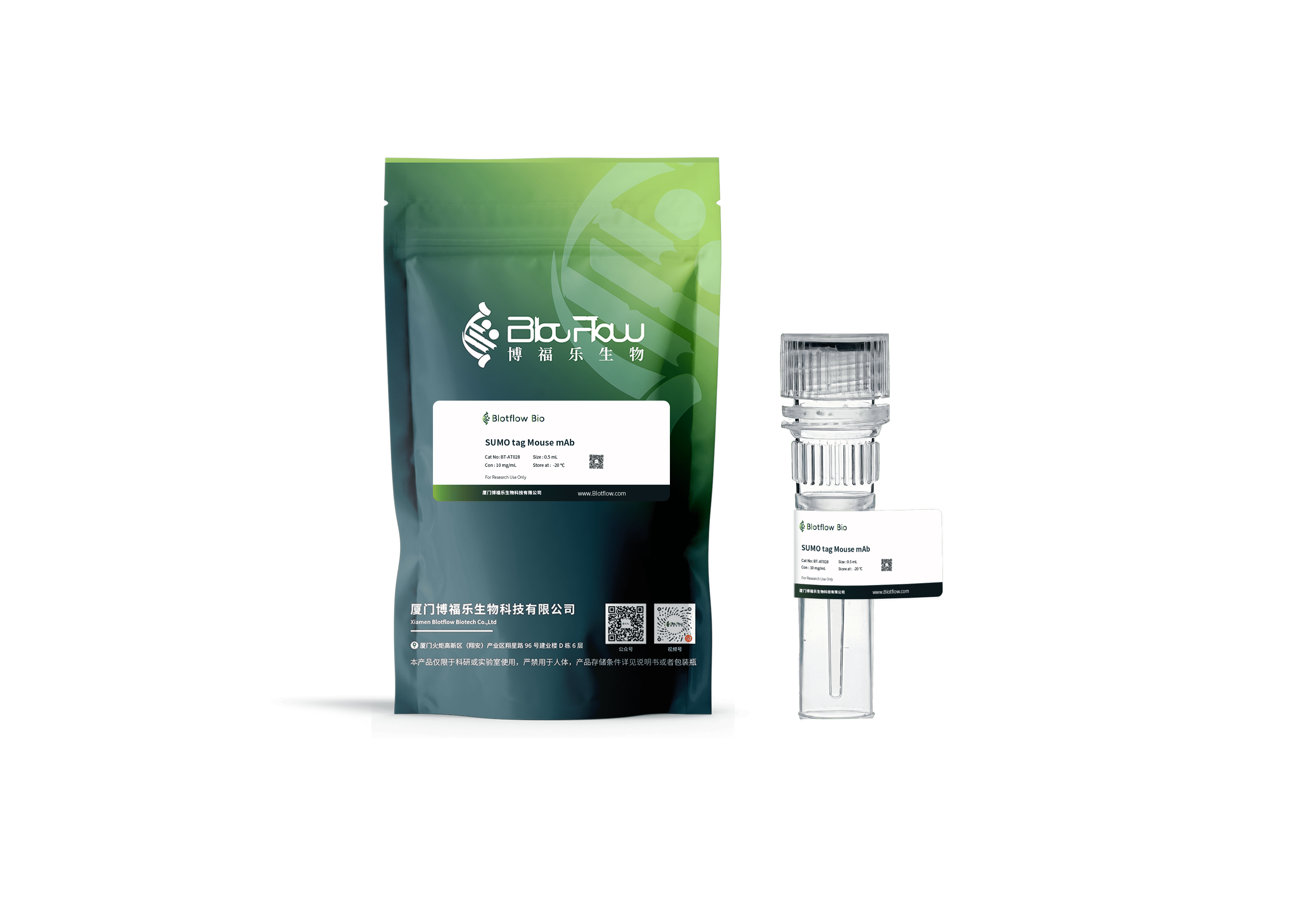 Biotin conjunct-anti-SUMO tag Rabbit mAb