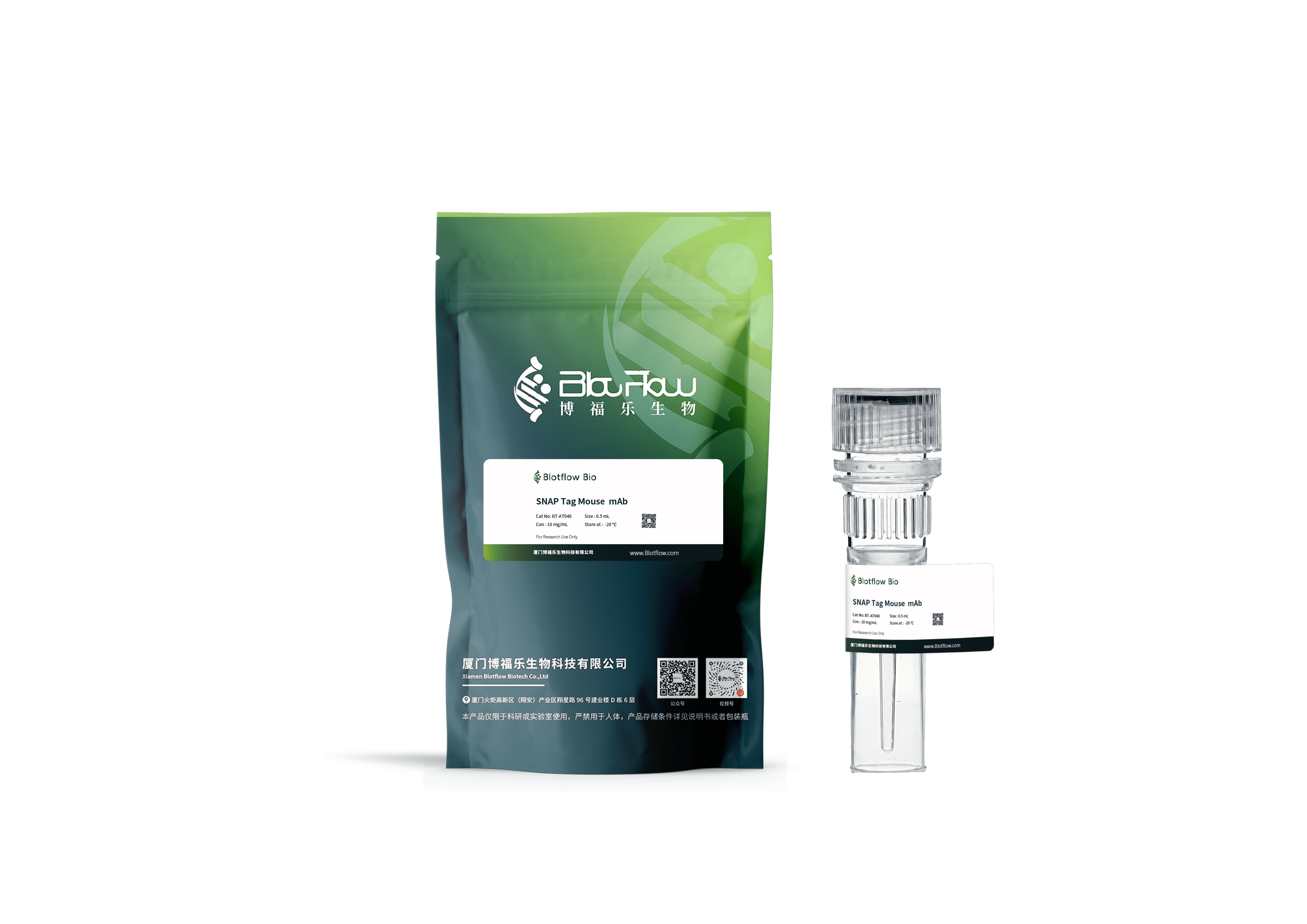 Biotin conjunct-anti-mCherry Rabbit mAb
