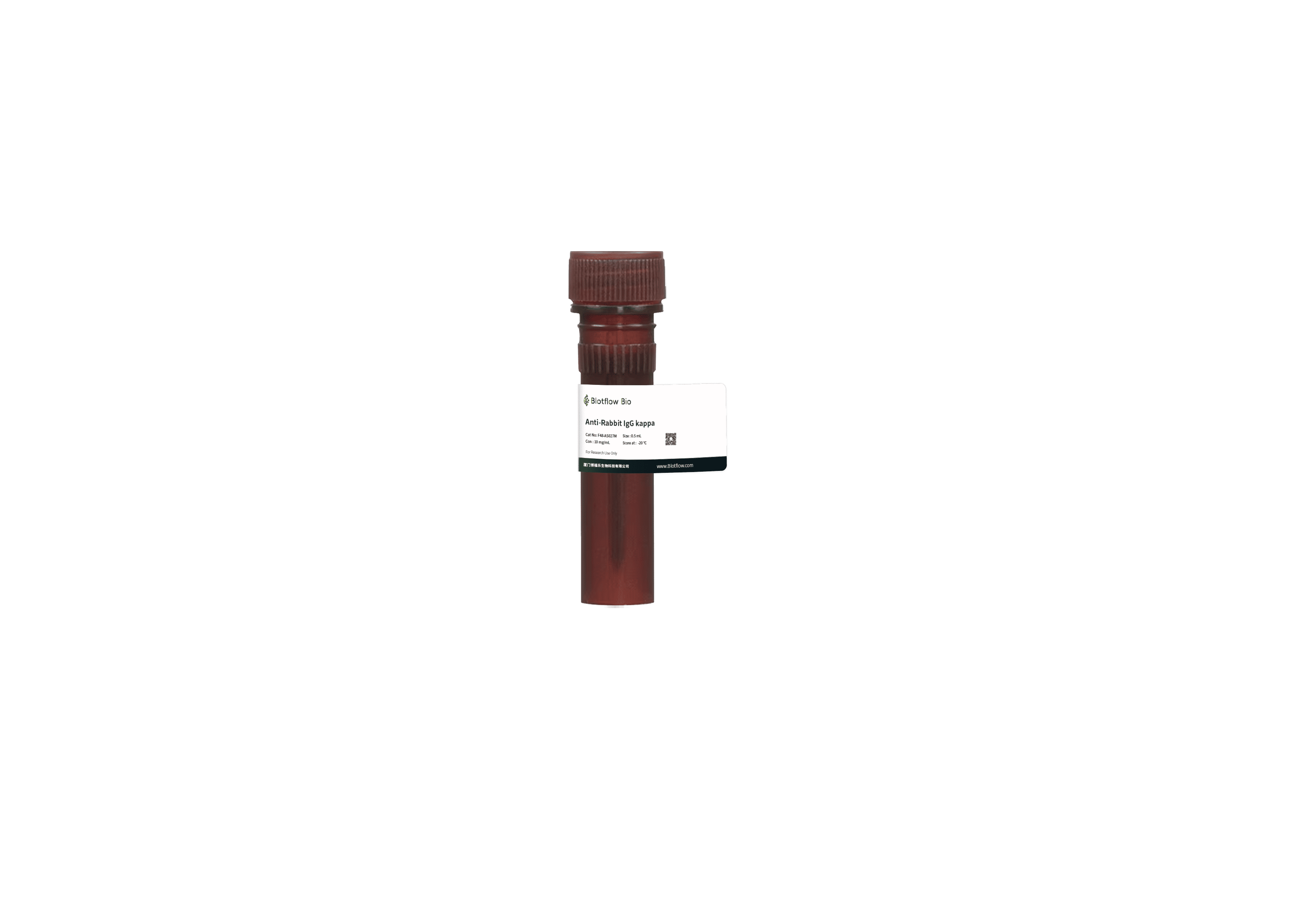 488-Anti-Rabbit IgG kappa