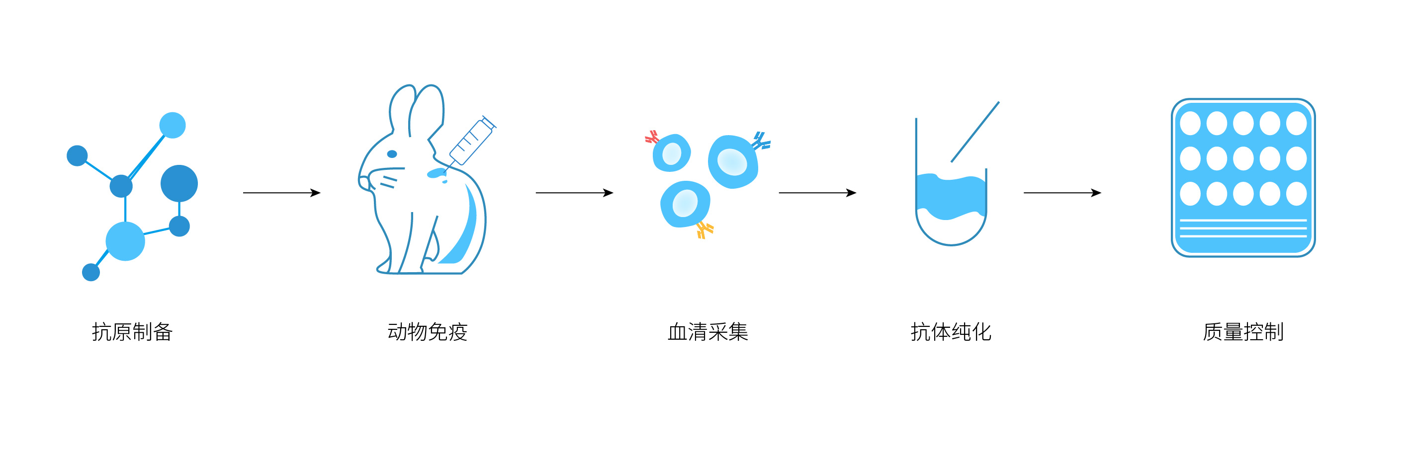 多克隆抗体定制