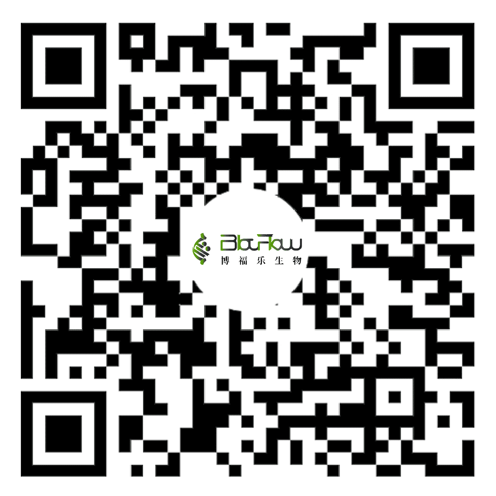 Bilibili