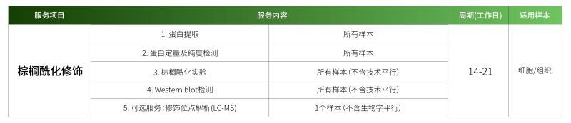 1778320355710726KywT.jpg 棕榈酰化.jpg
