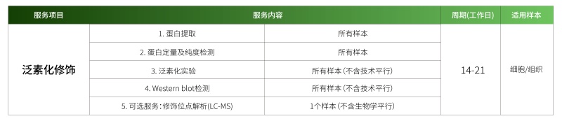 1778482355487017I20D.jpg 泛素化.jpg