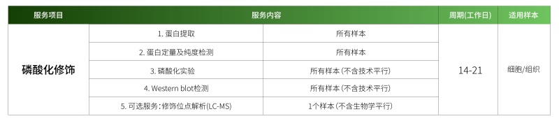 1778484067749213bFSZ.jpg 磷酸化.jpg