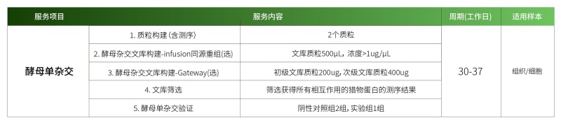 1778742317776355eeqy.jpg 酵母单杂.jpg